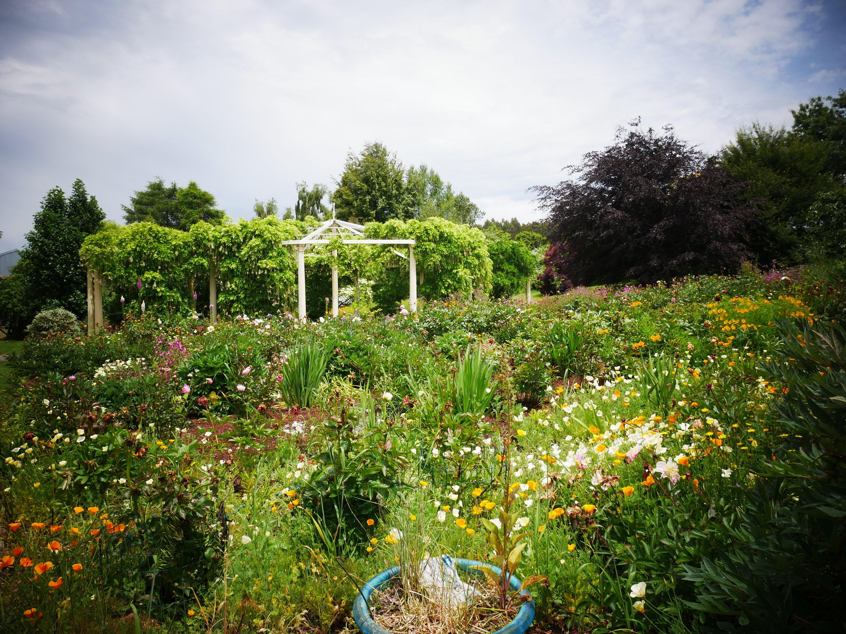 Kaydale Lodge Gardens