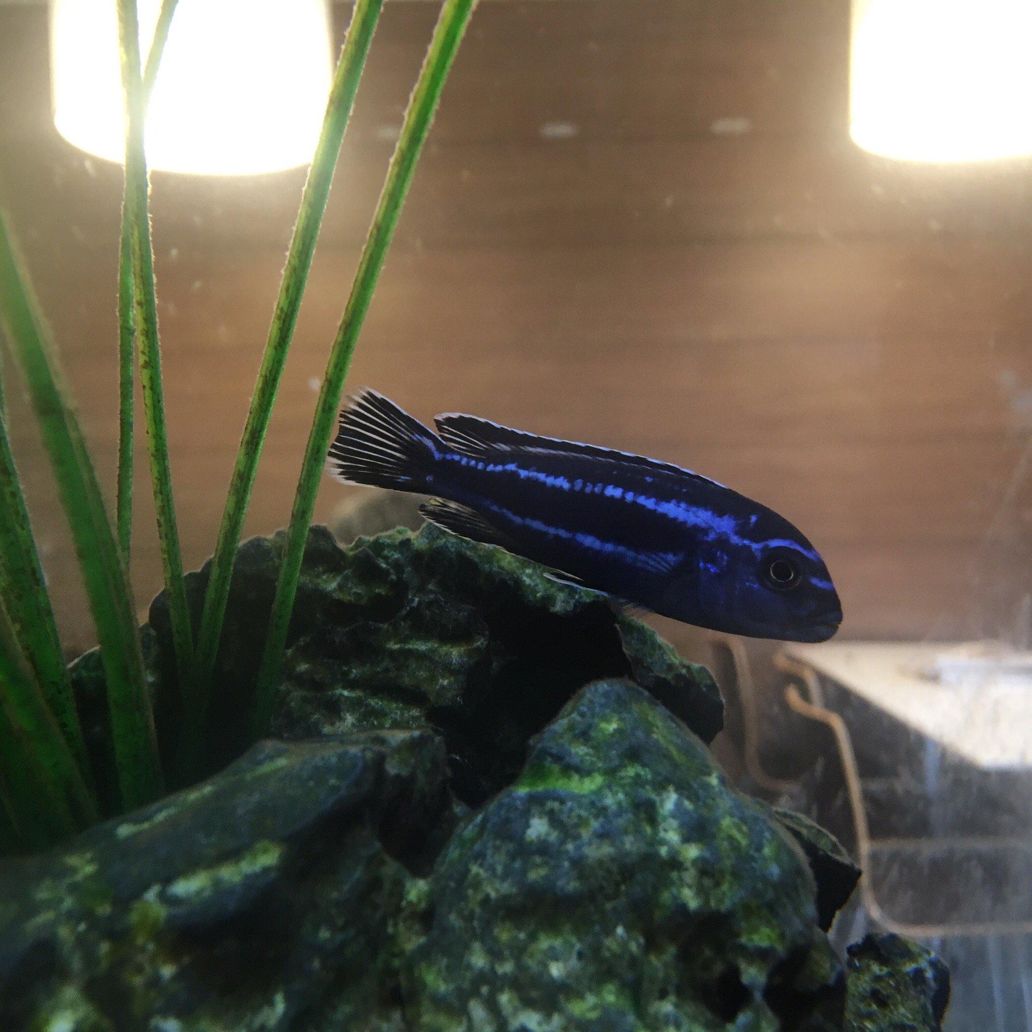 Photo by lovinitonphuket