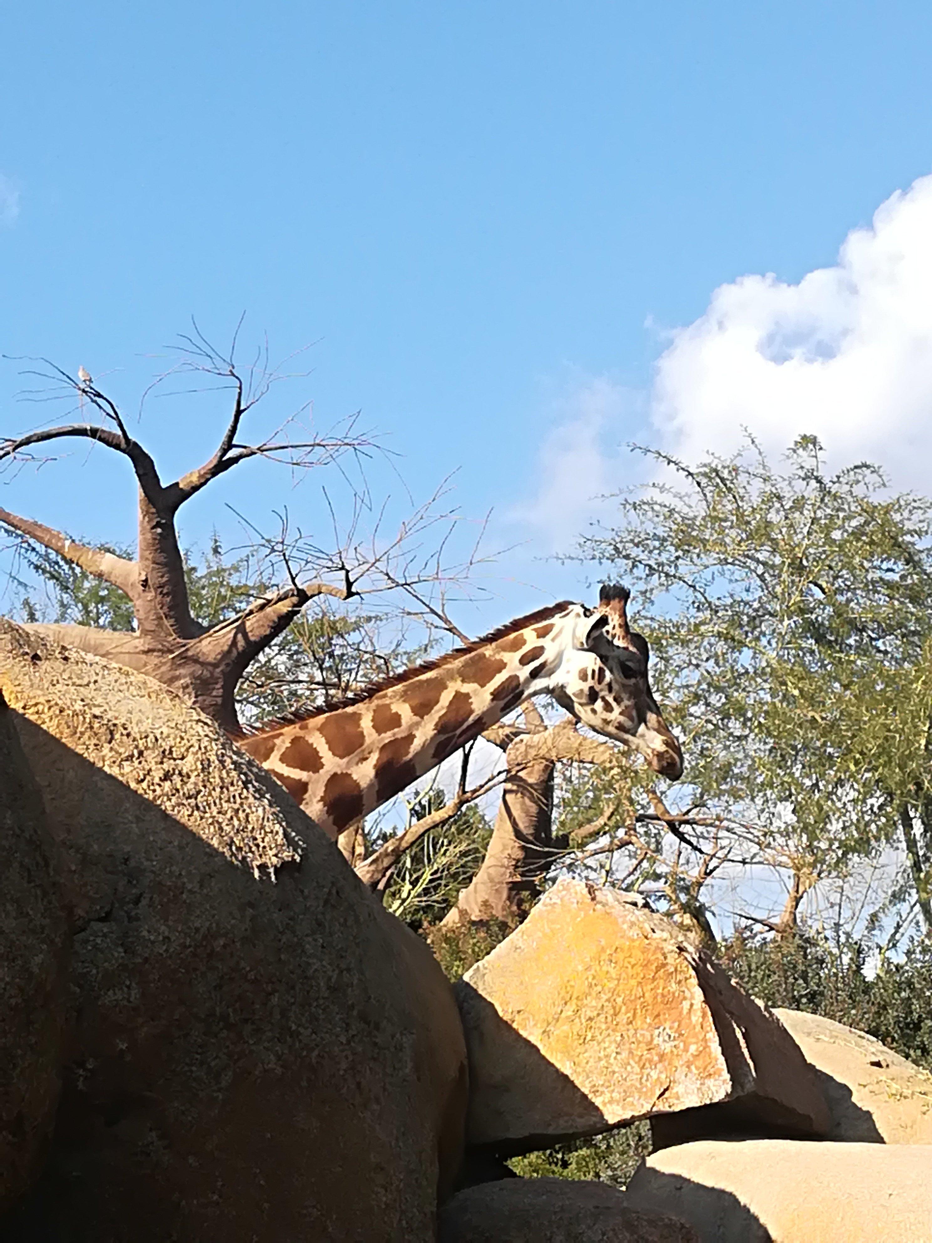 Total Valencia Center