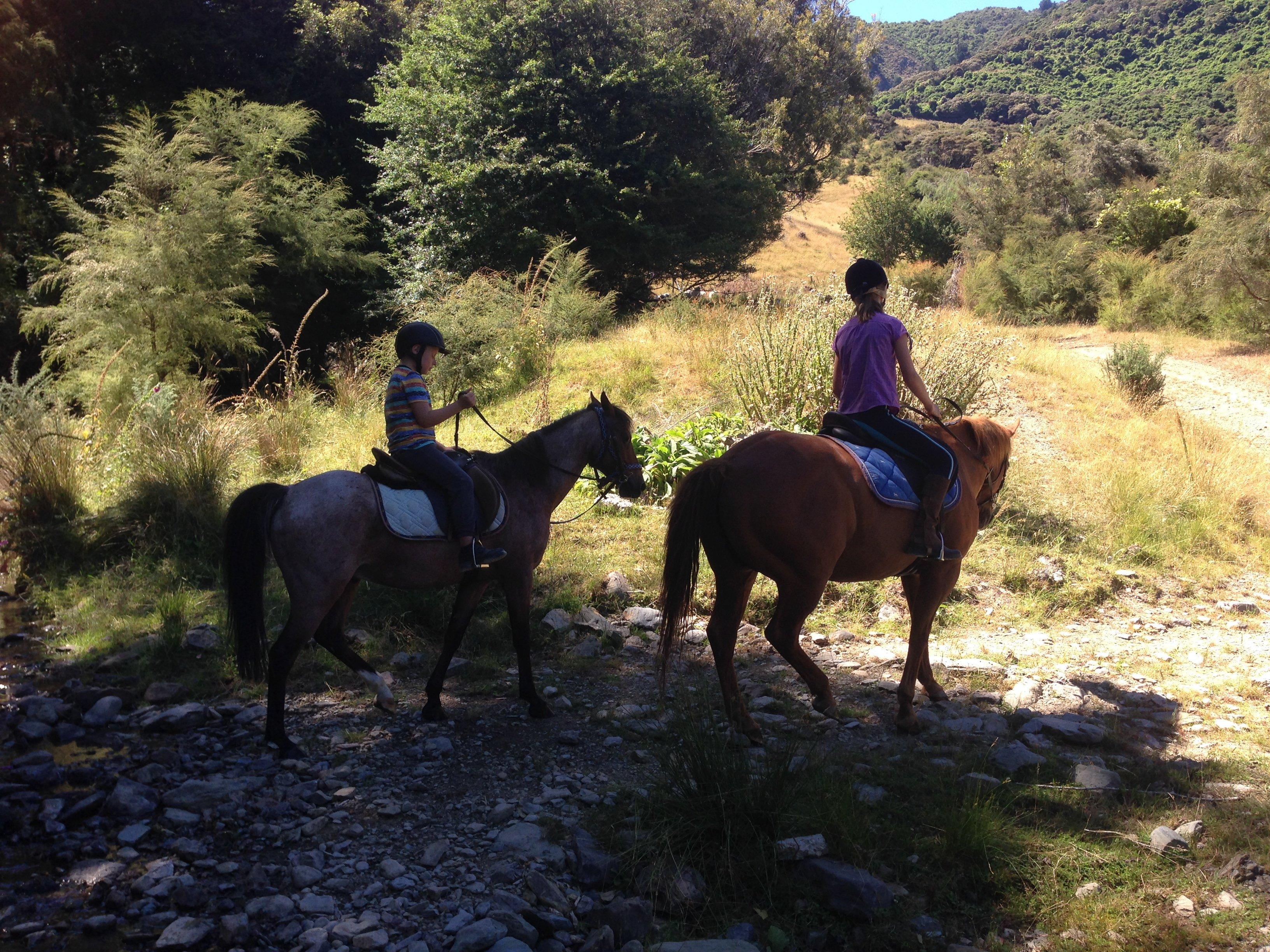 Golden Hills Equestrian Centre