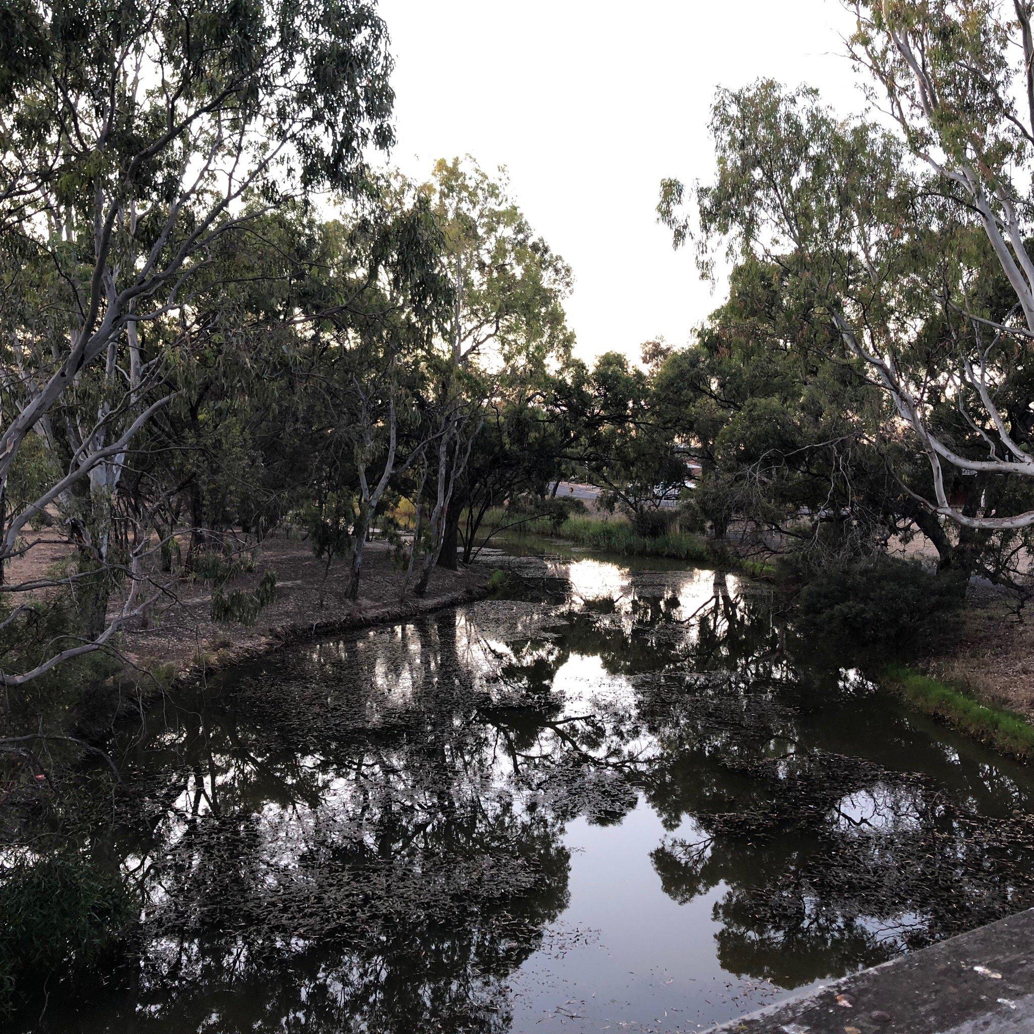Apex Island Adeventure Playground