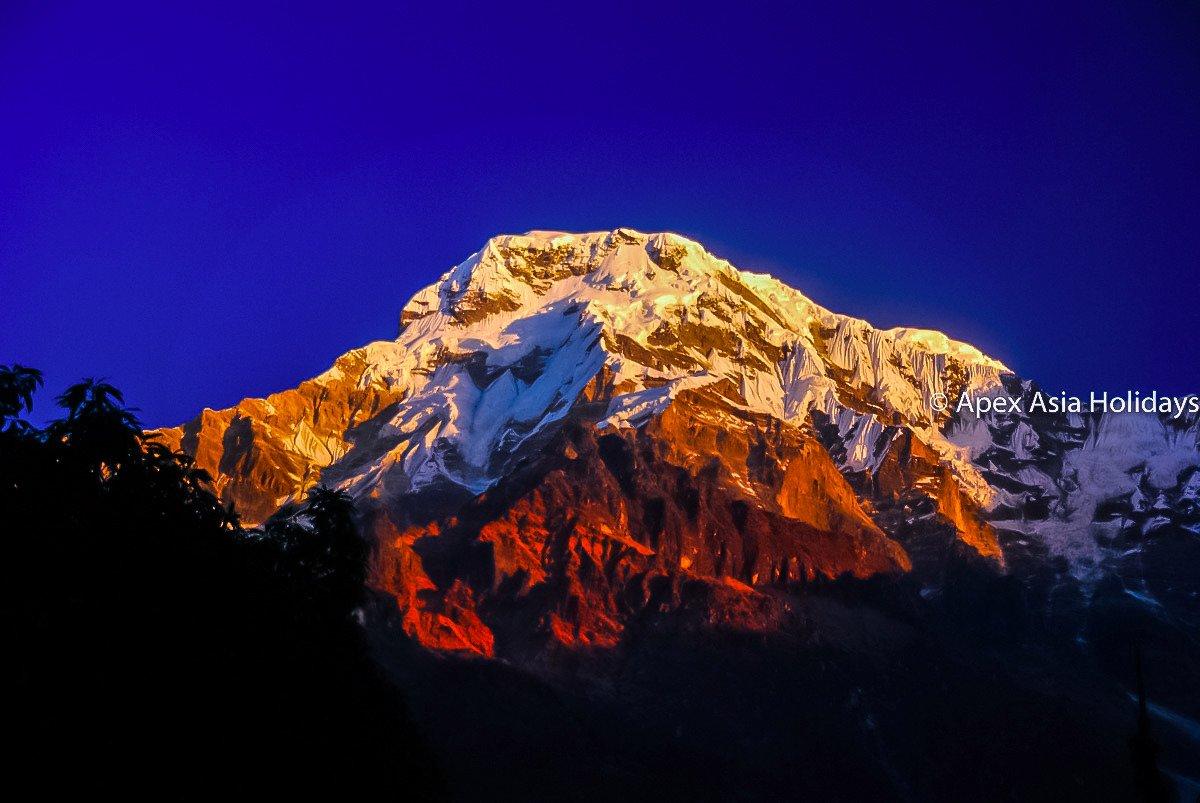 Apex the Asia Holidays