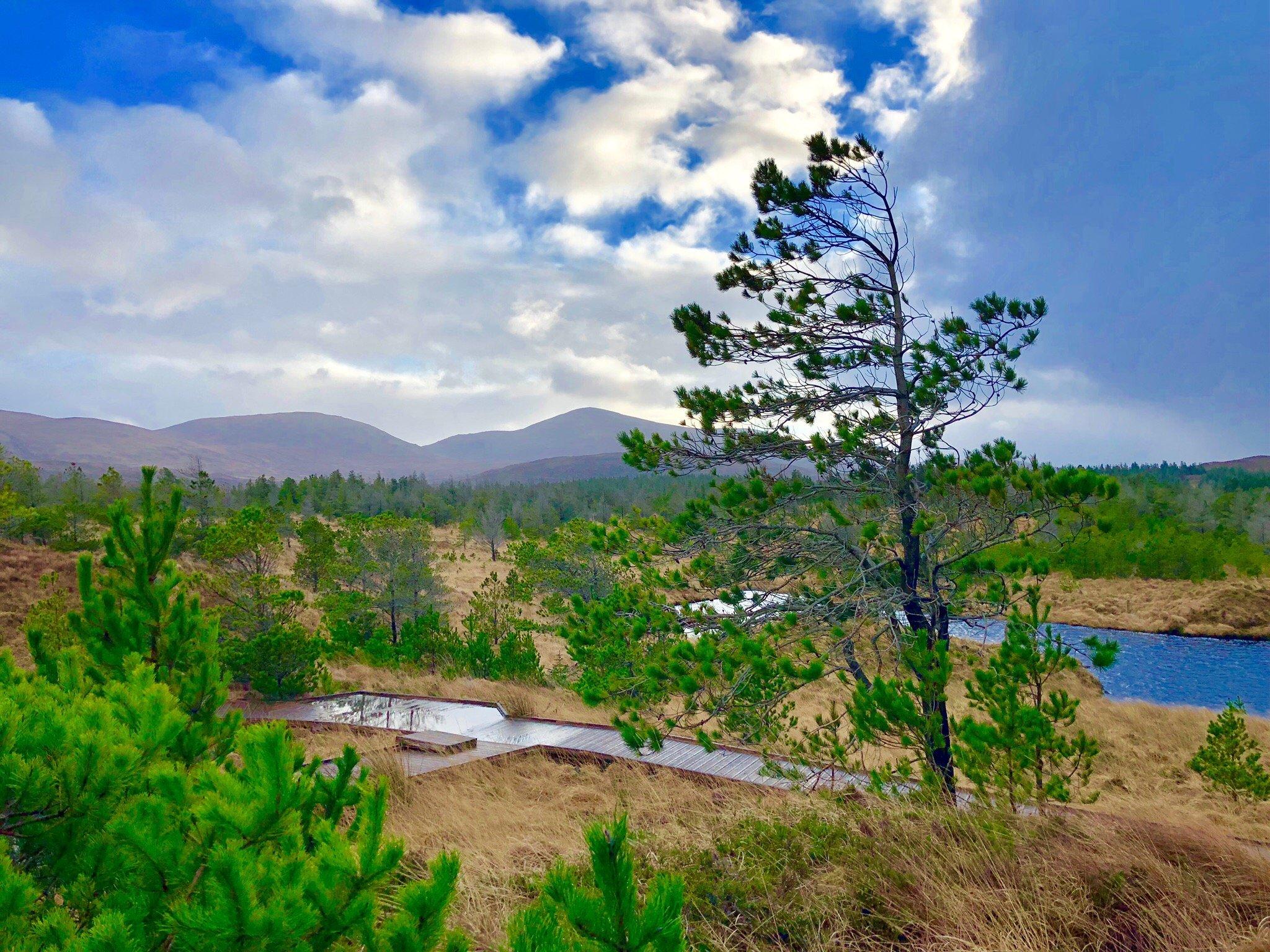 Aline Community Woodland Walks
