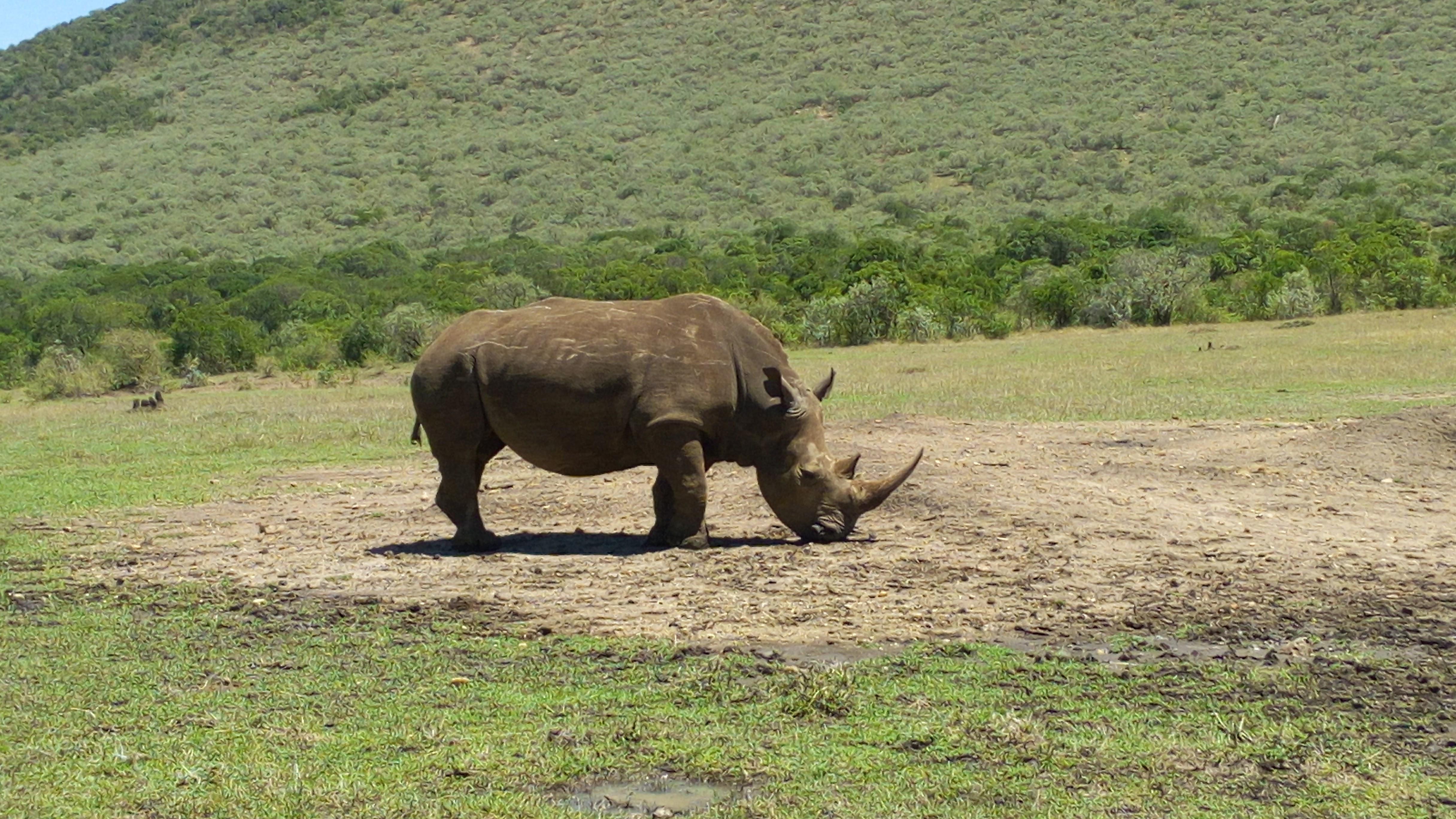 Embrace The World Travel Agency Ltd