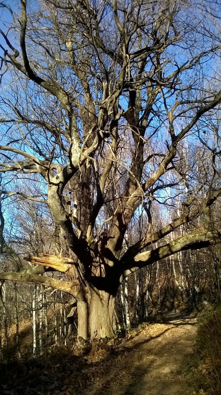 Sentieri dell'Alto Vergante