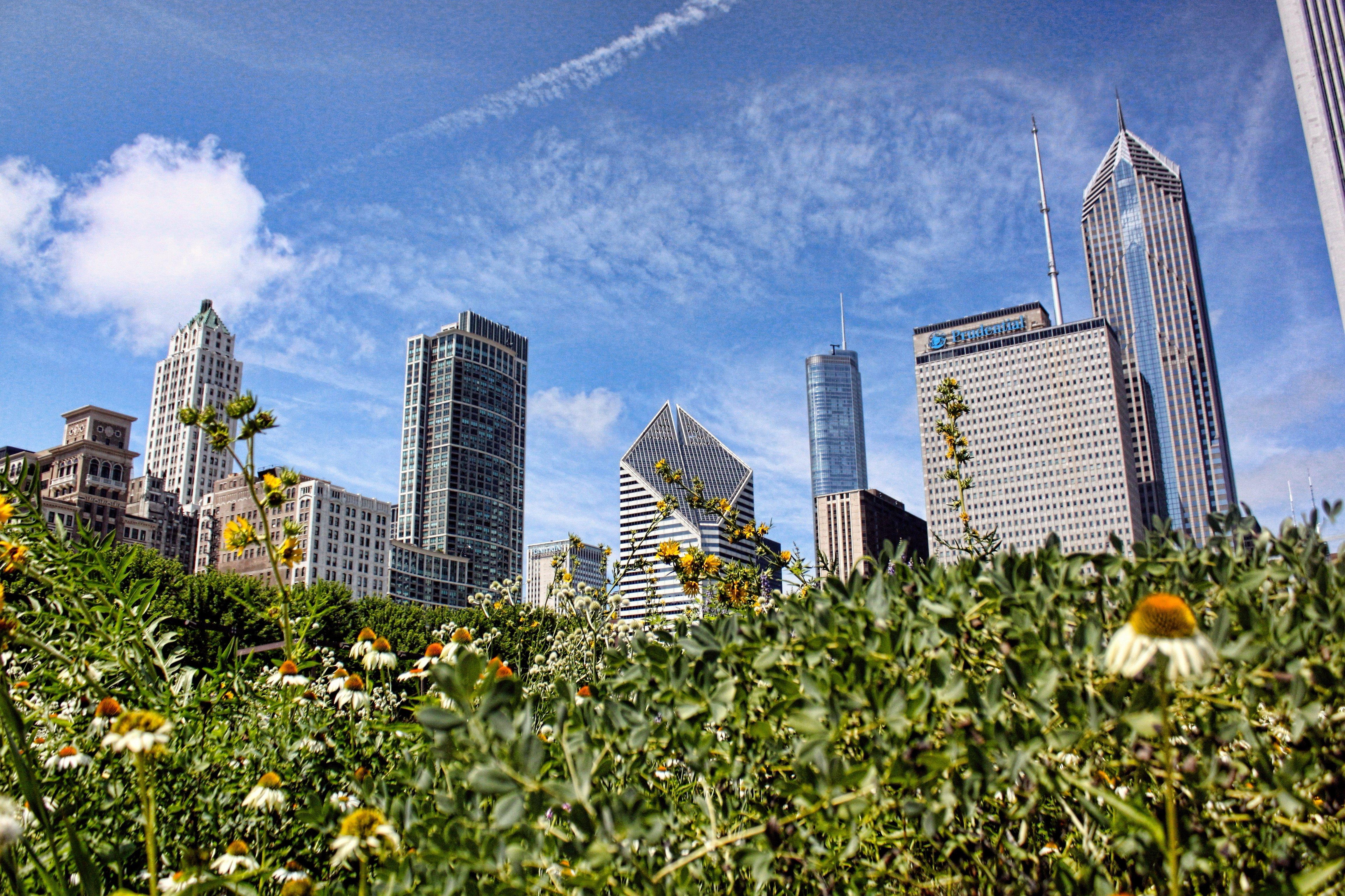 Lurie Garden