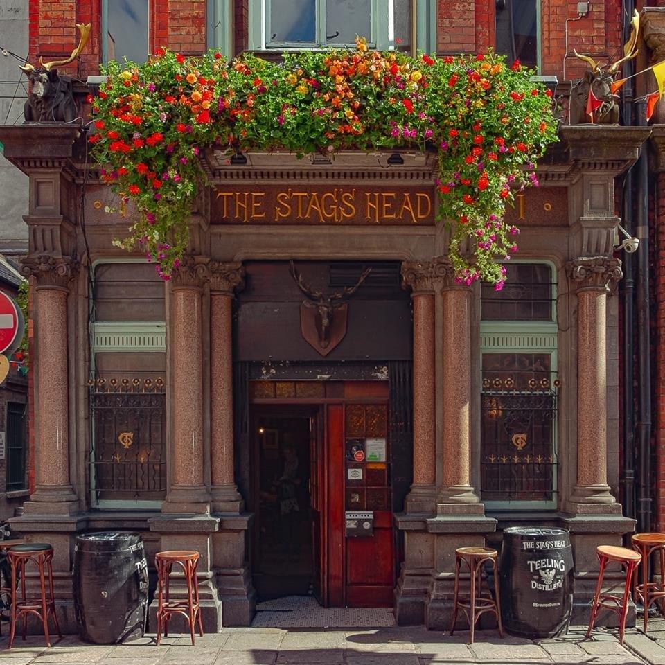 Stag's Head Dublin