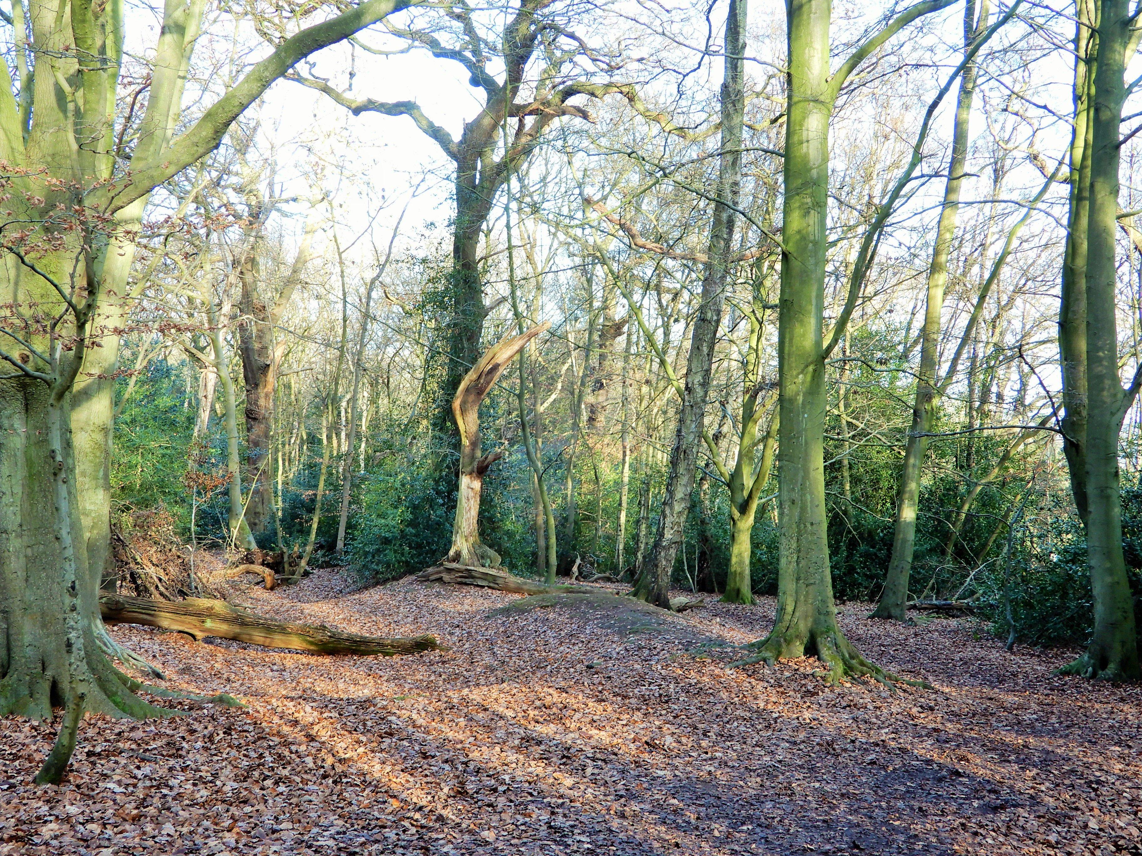 Eastham Country Park