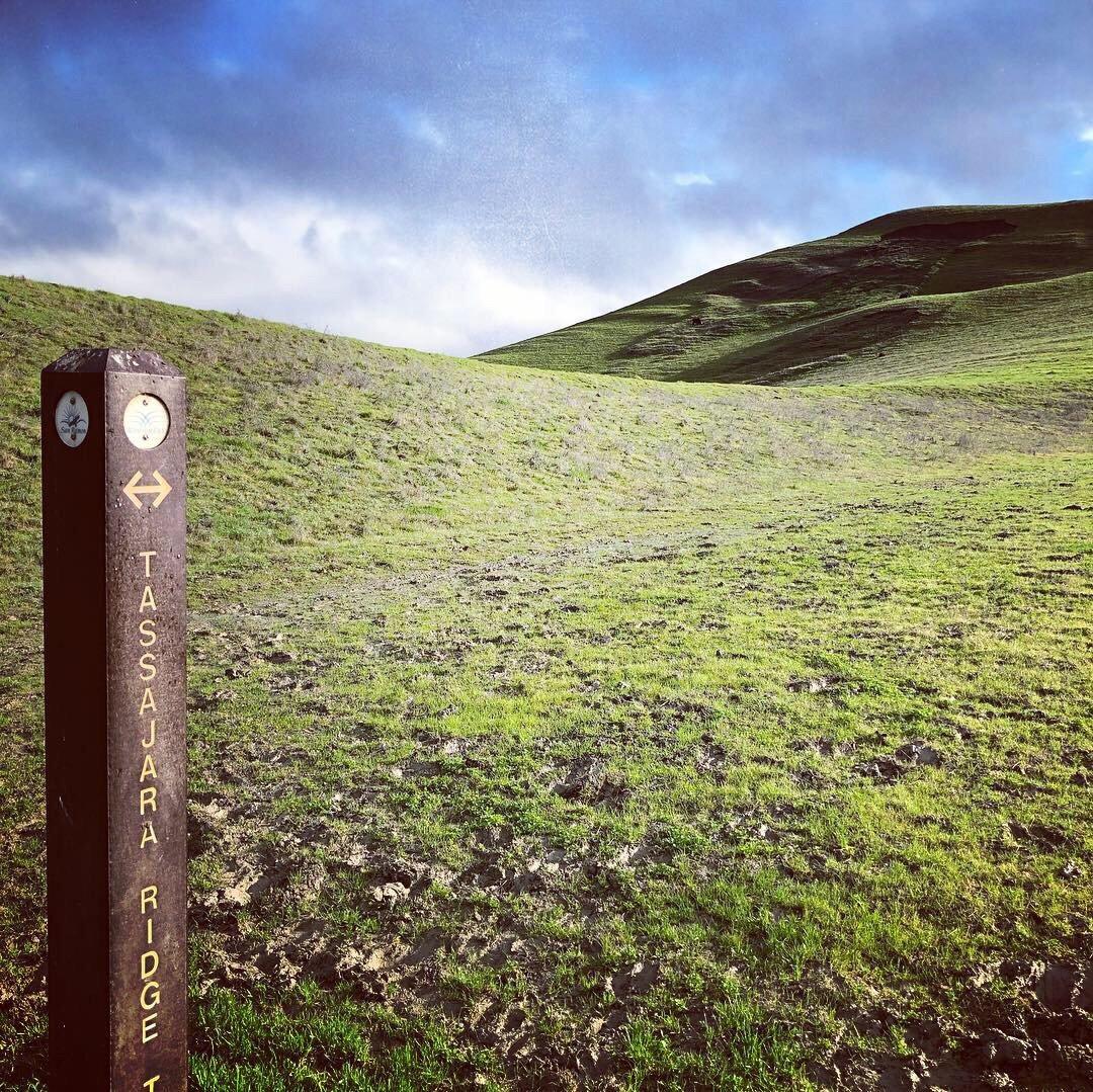 Tassajara Ridge Trail Loop