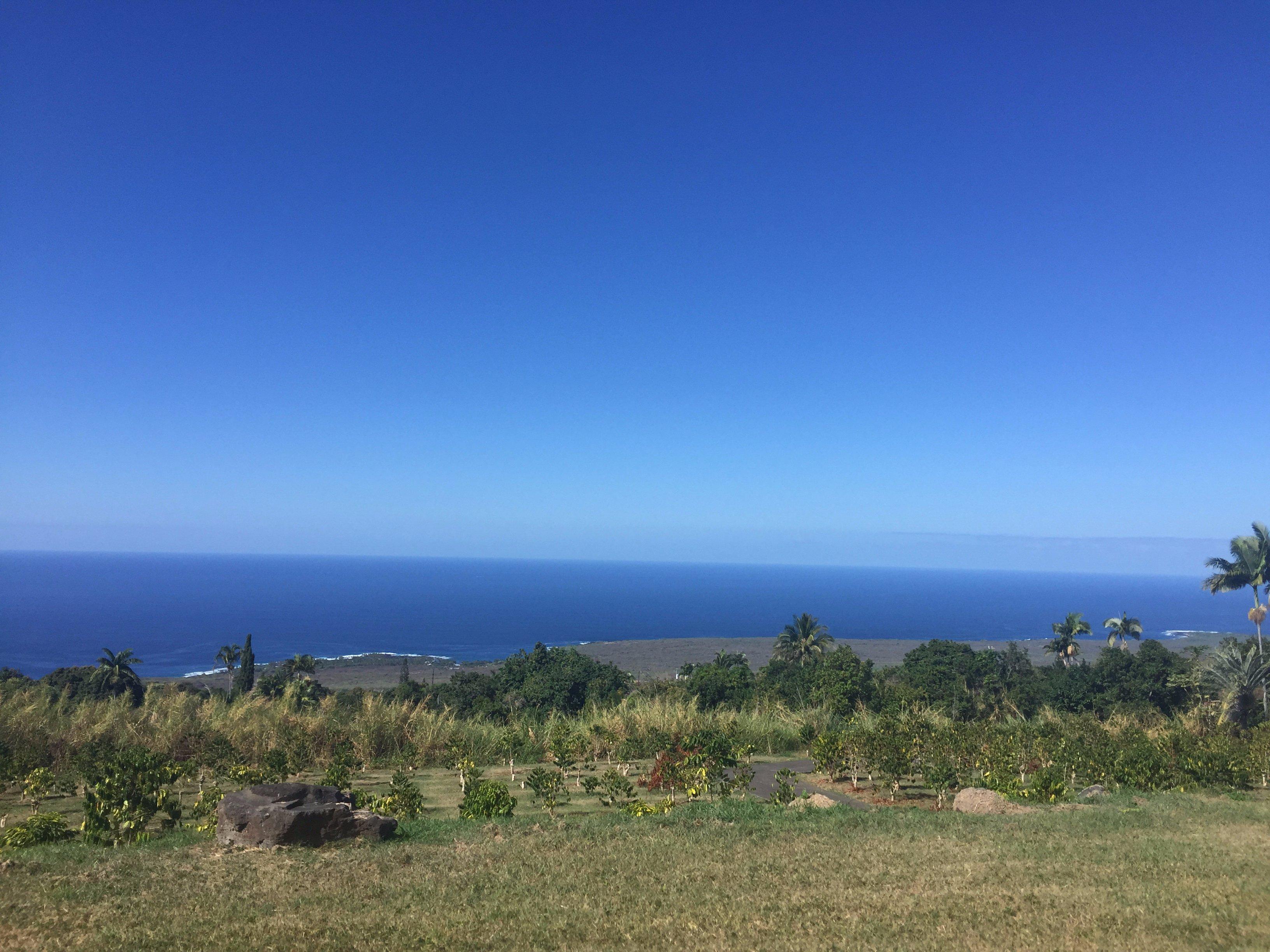 Photo by CJHMom-to-Twin-Boys