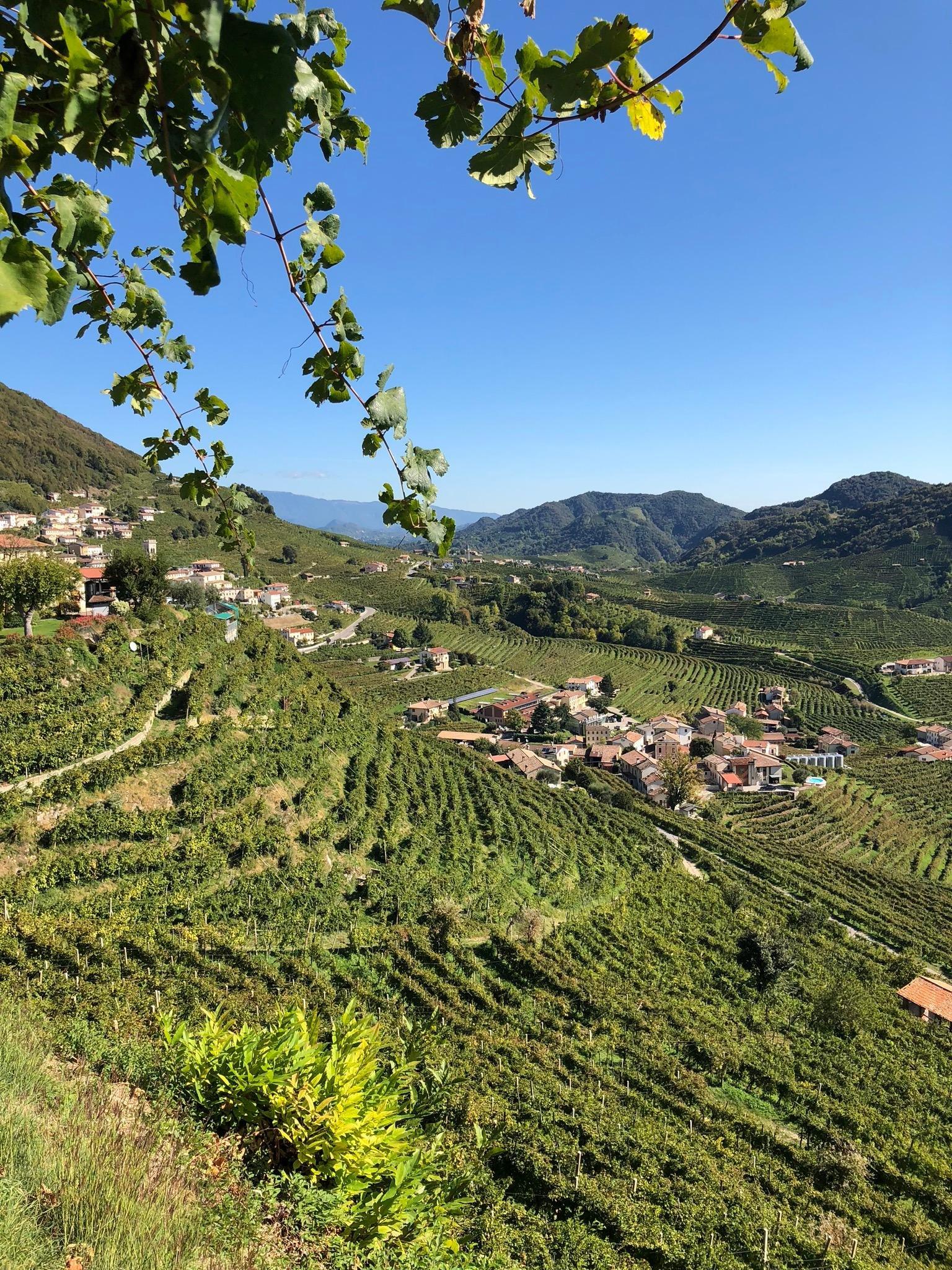 A sparkling day on the Prosecco hills by Yellowboot