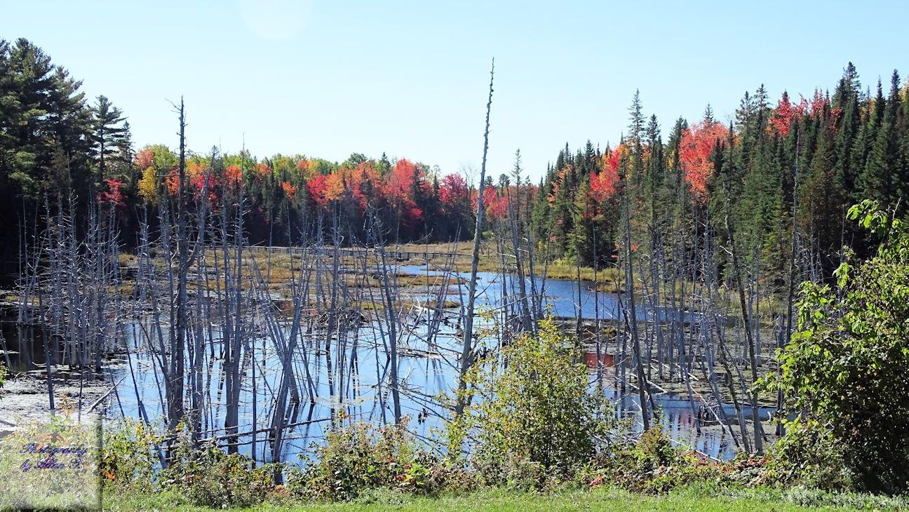 Mactaquac Provincial Park