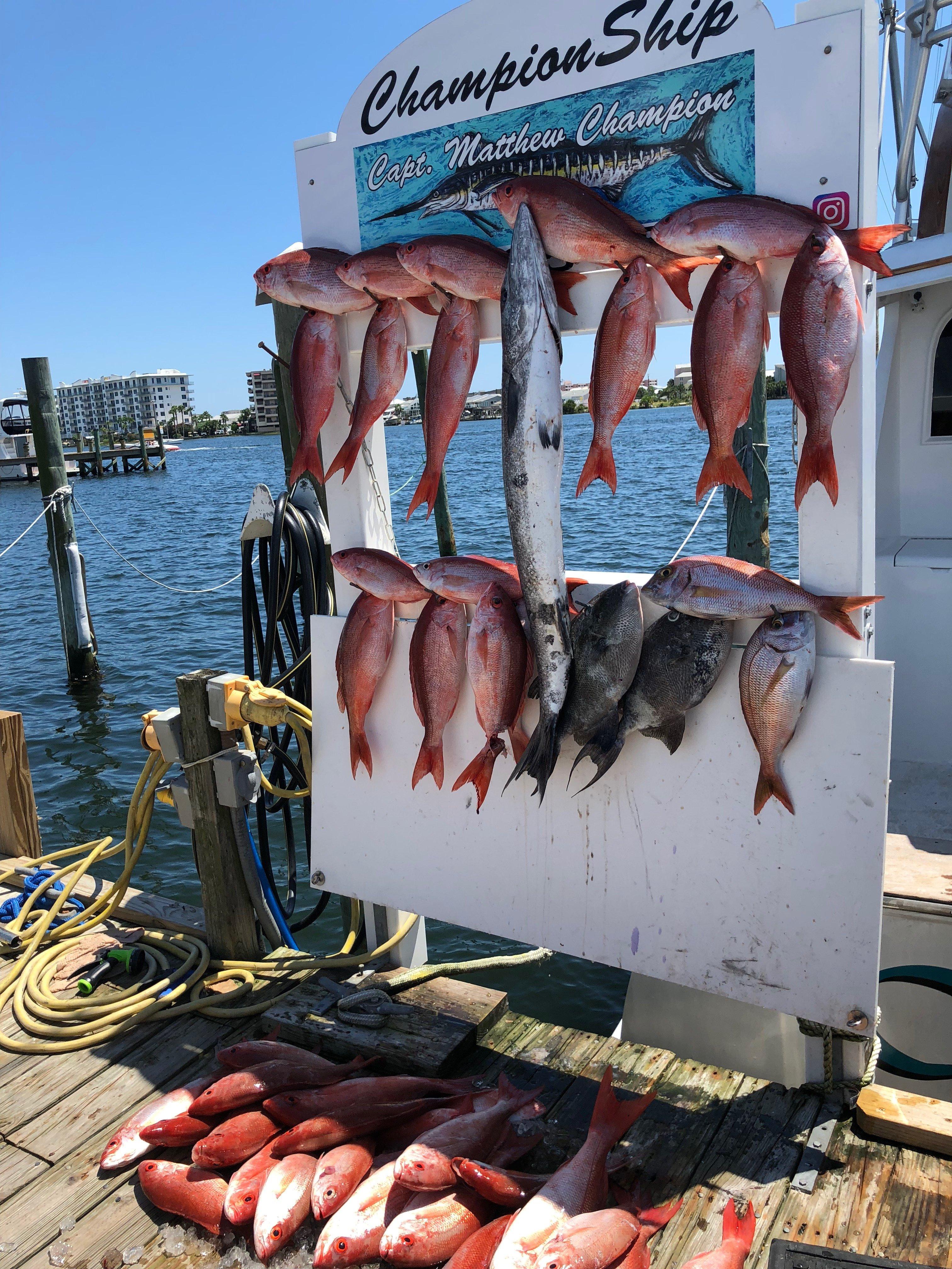 Championship Offshore Outfitting and Charters