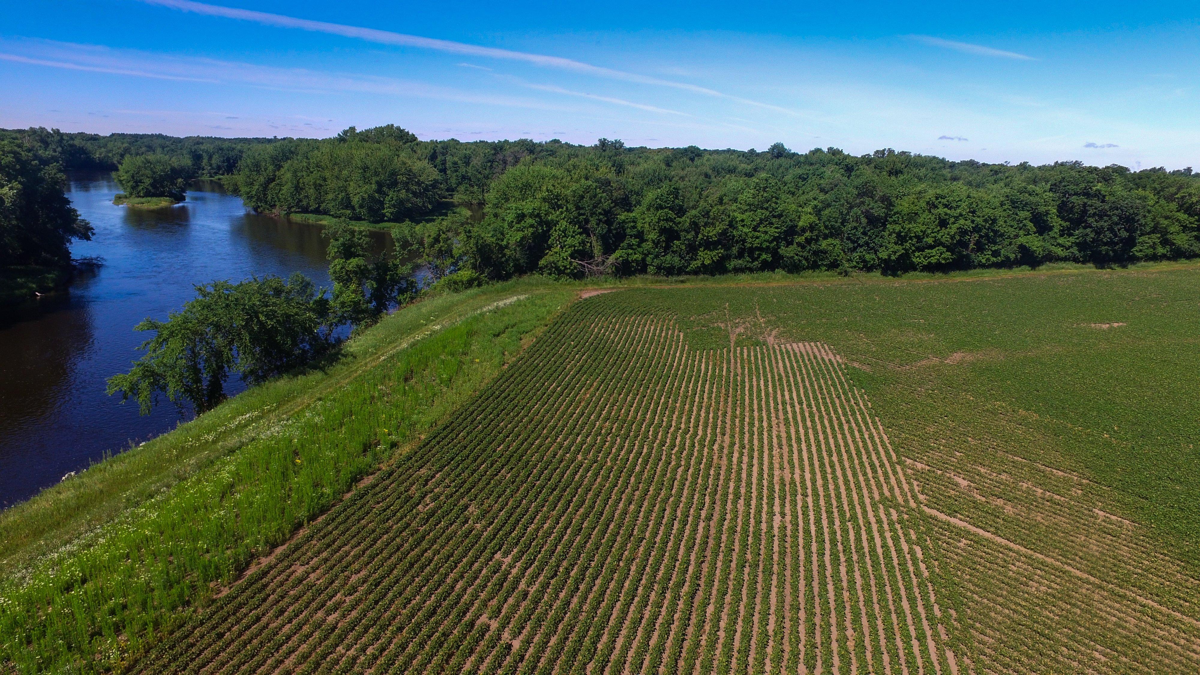 Photo by michaelparkguy