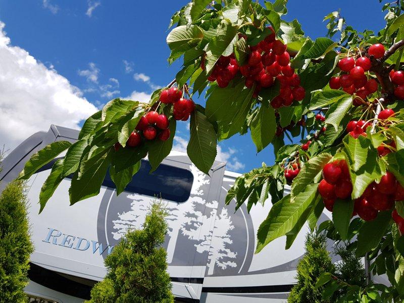 The Orchard At Oliver