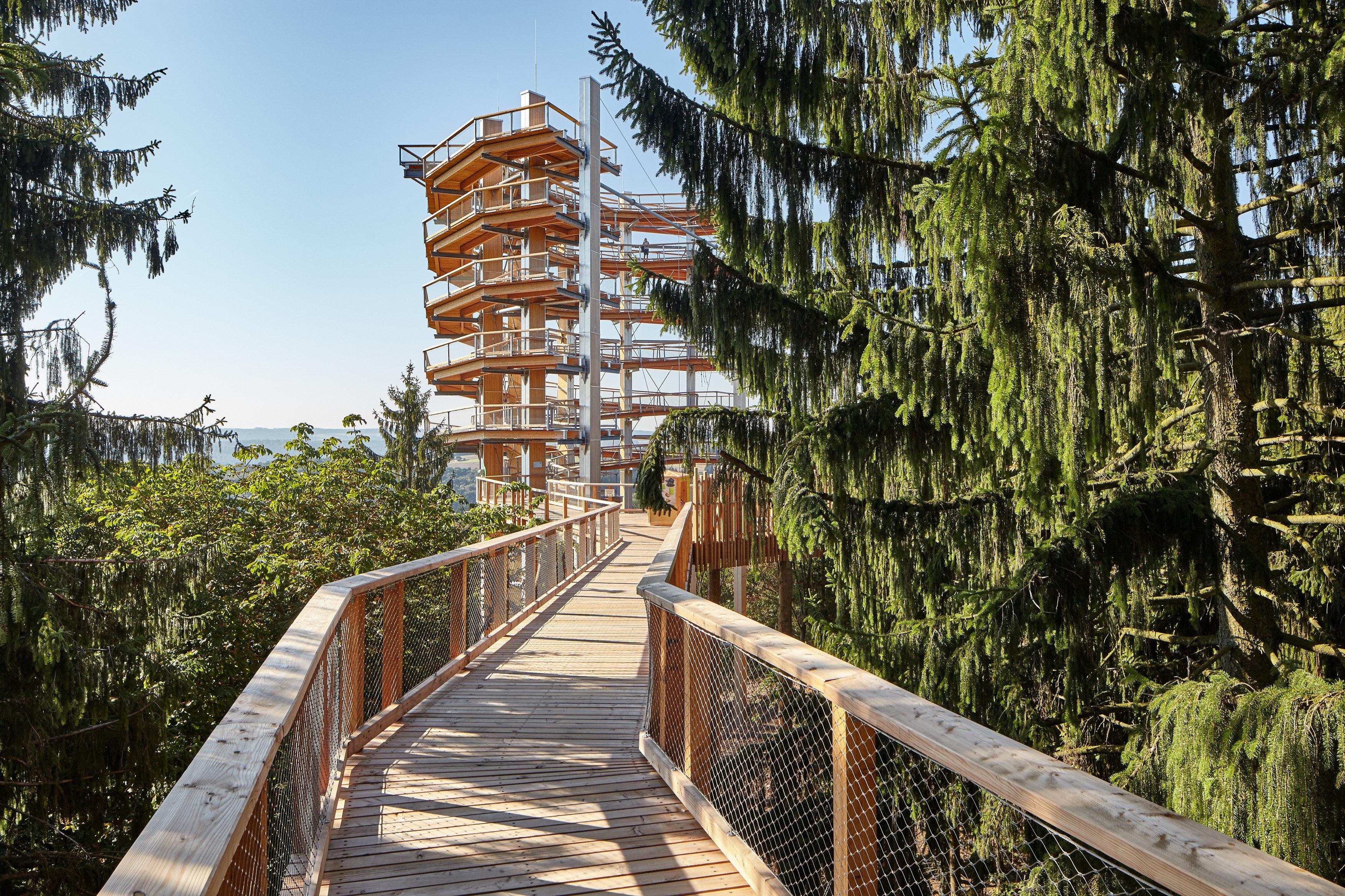 Treetop Path Saarschleife