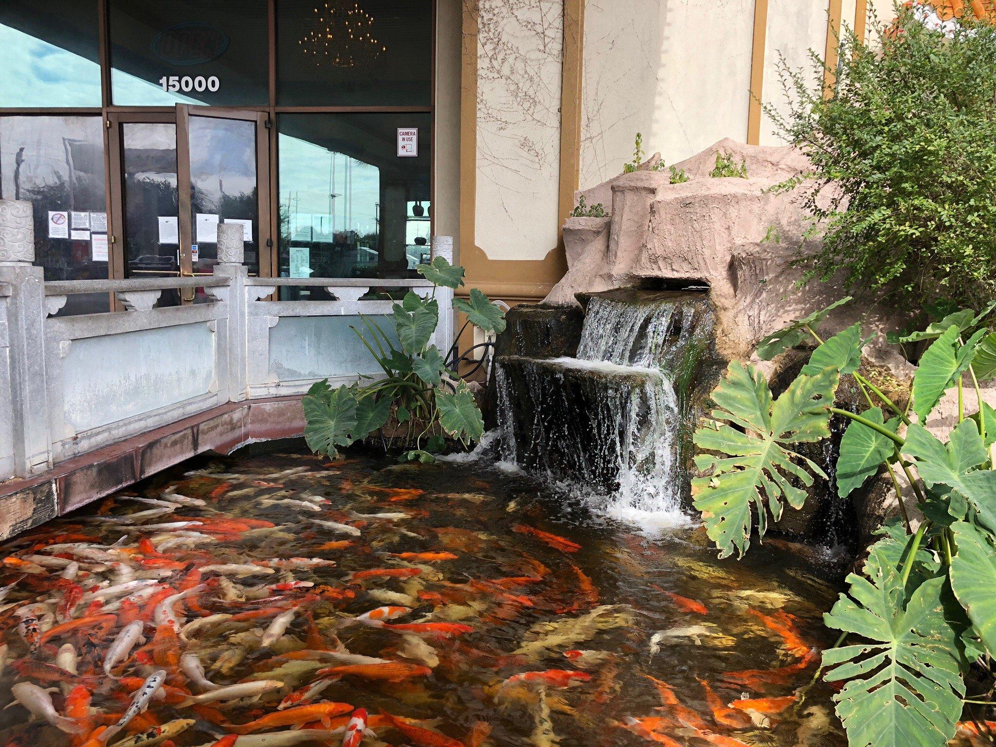 Photo by yellowrose1288