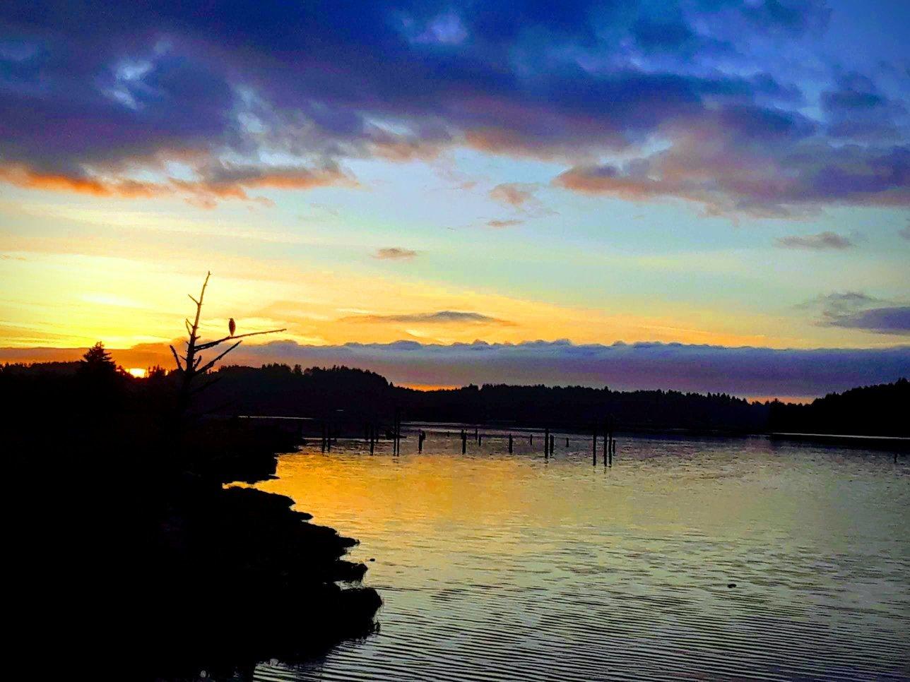 King Silver RV Park & Marina