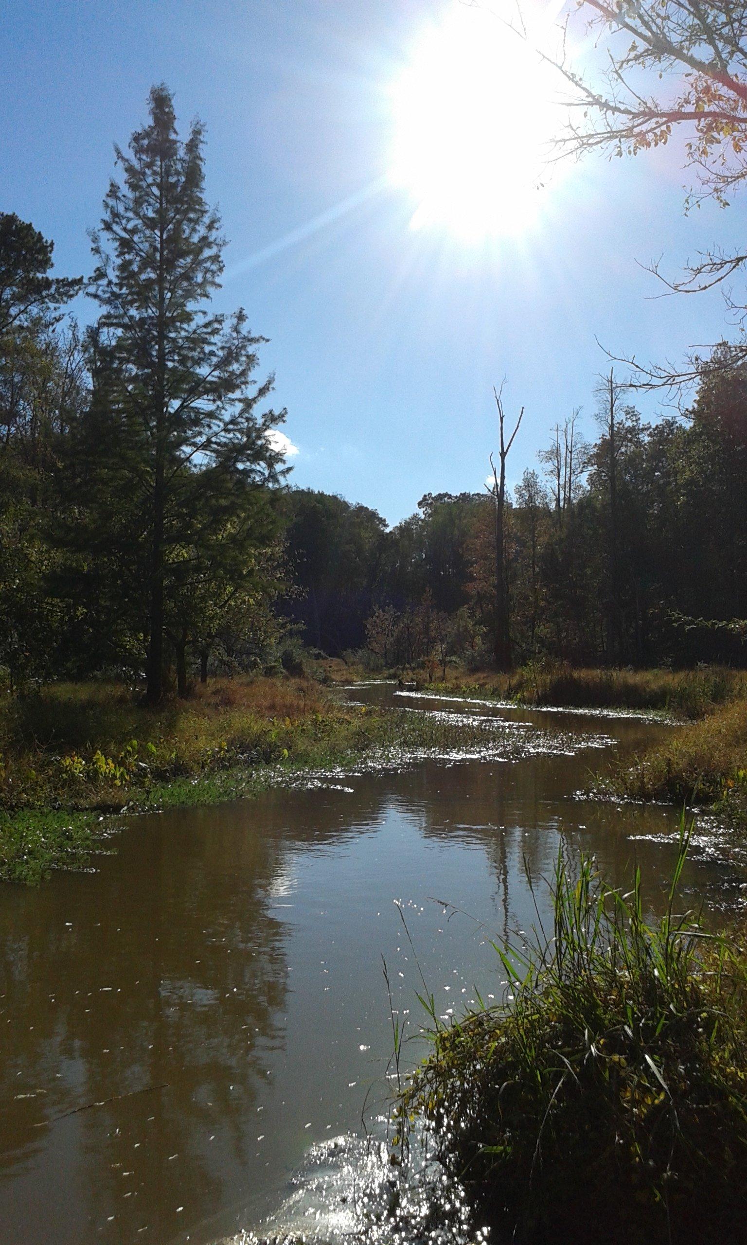 Melvin L Wetland Center