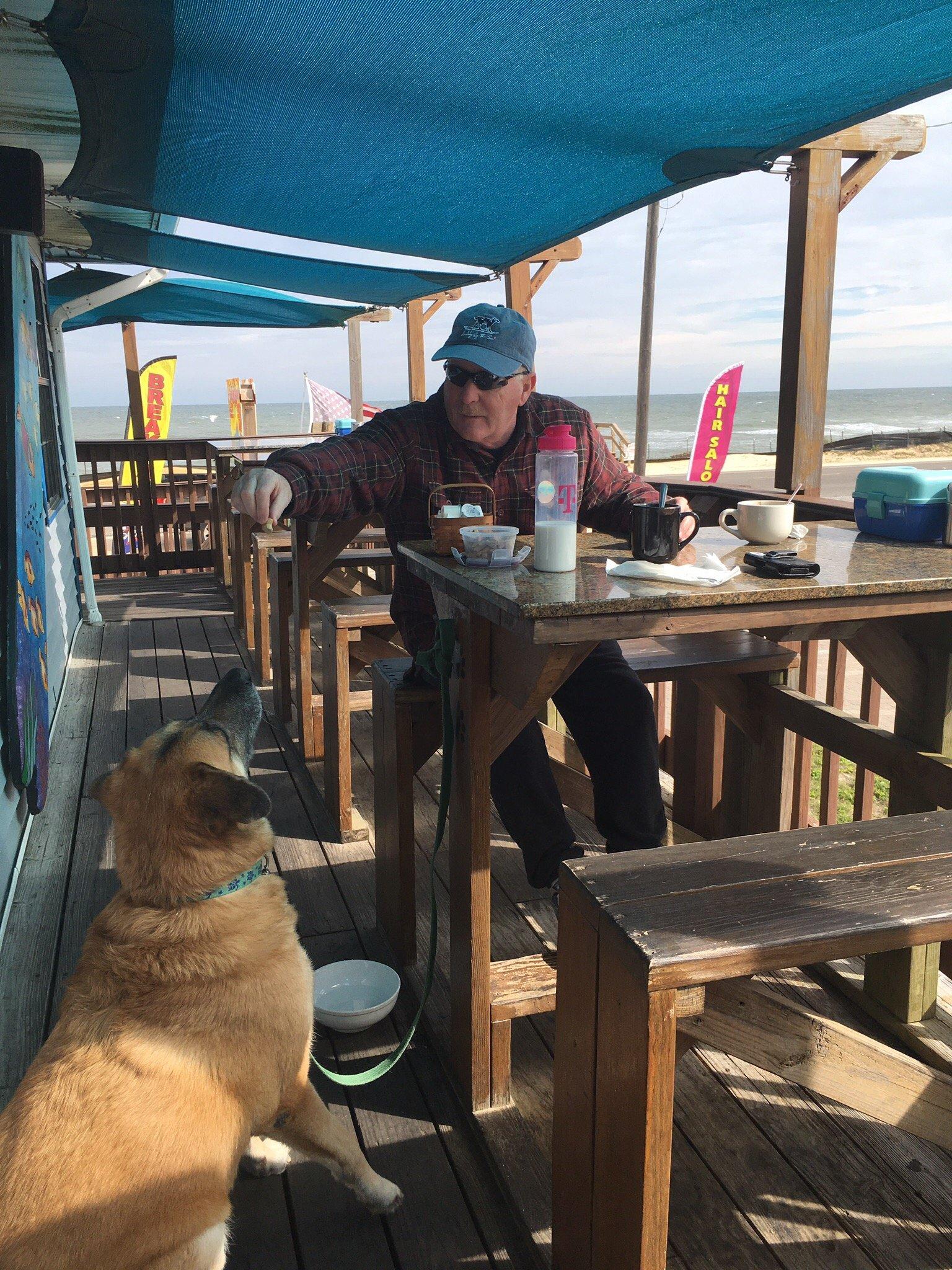 Photo by PandBofPalmCoast