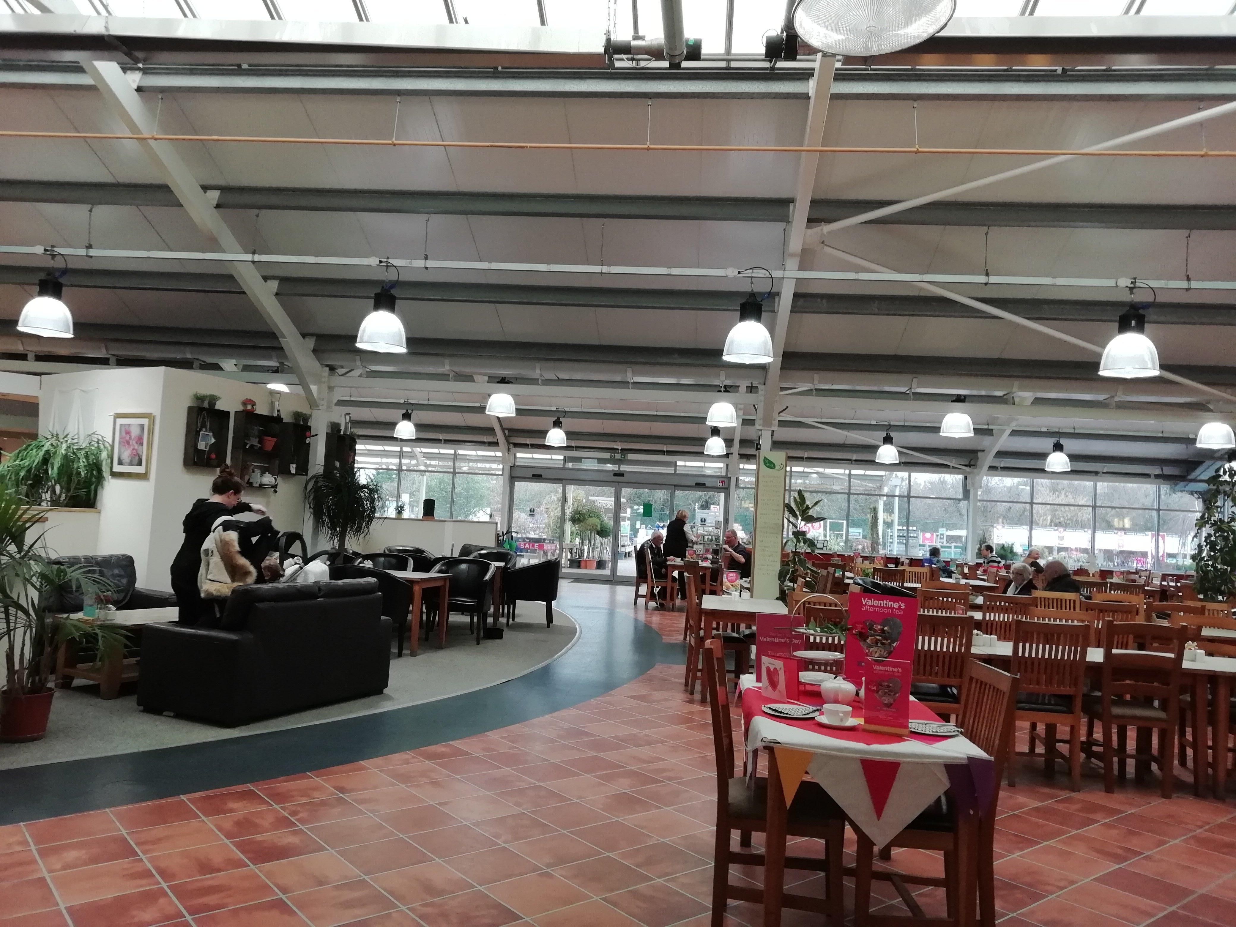 Photo by JuneBug1939