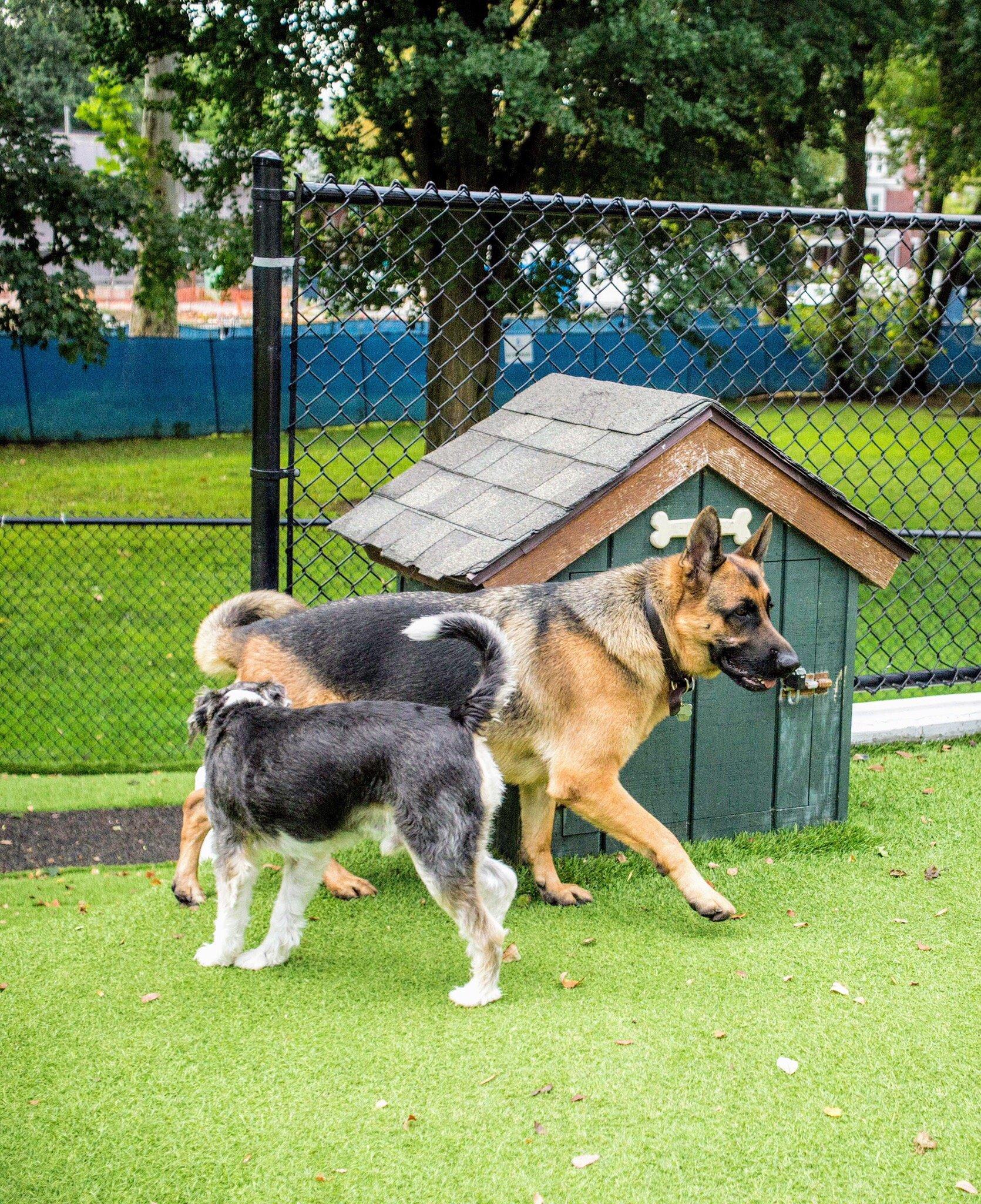 Photo by kylie_stewart