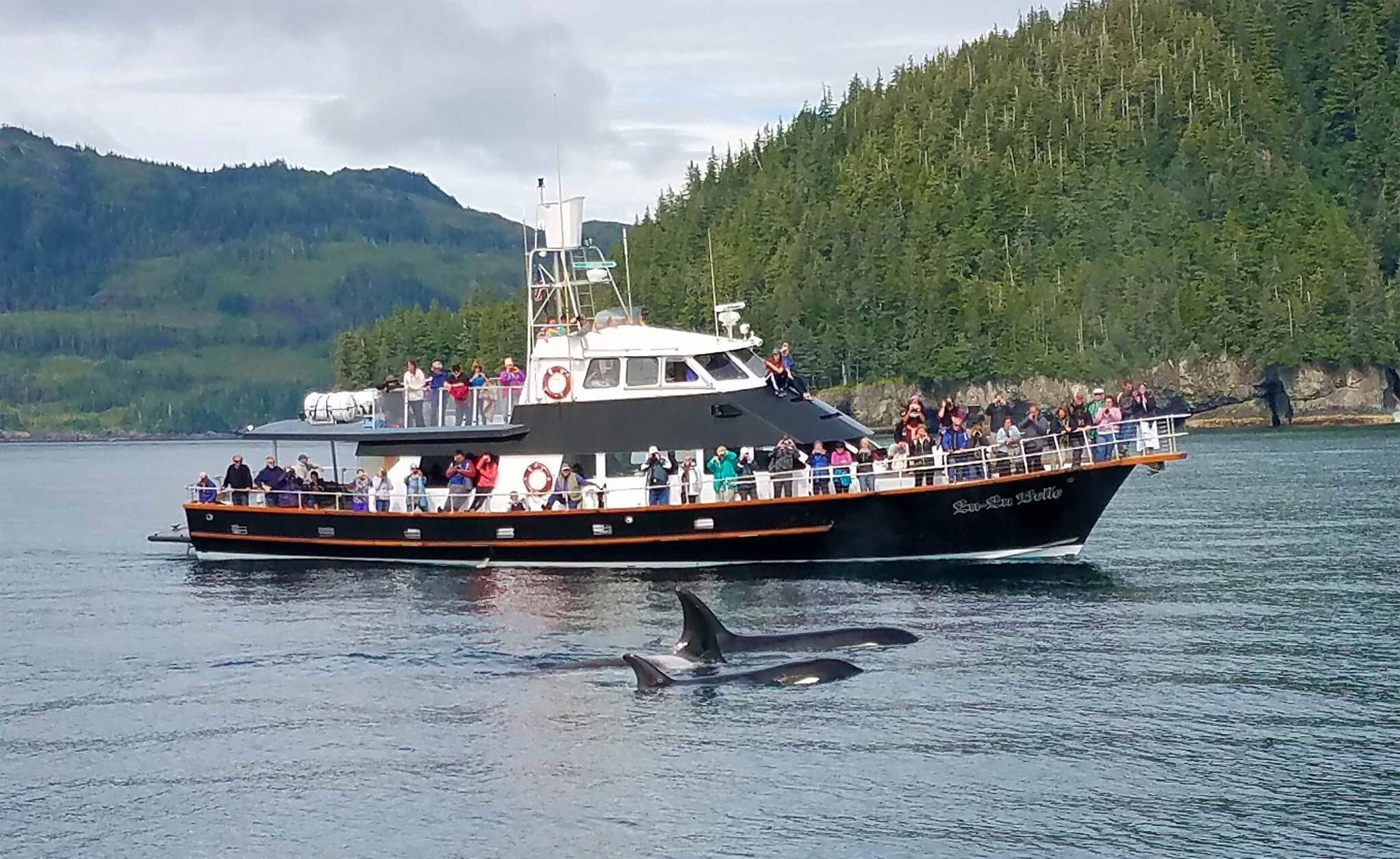 Lu Lu Belle Glacier Wildlife Cruises