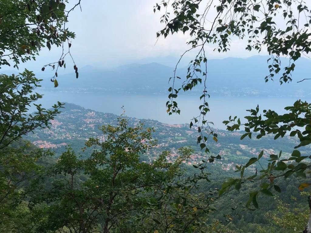 Tappa n. 6 – Da Arcumeggia a Muceno