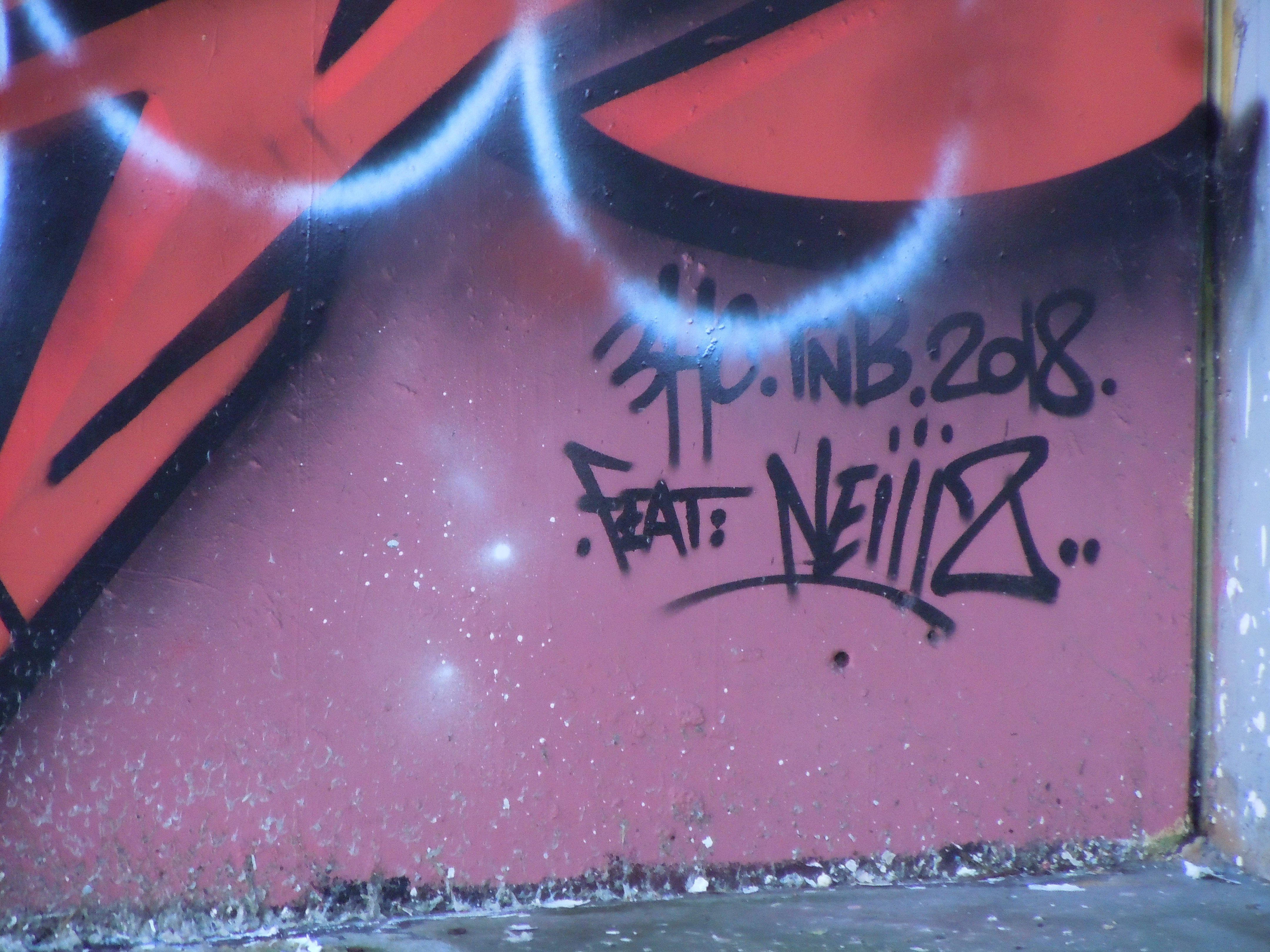 Fresque Jeune Metisse