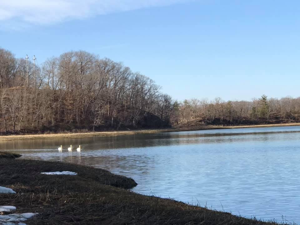 Osprey Overlook Park
