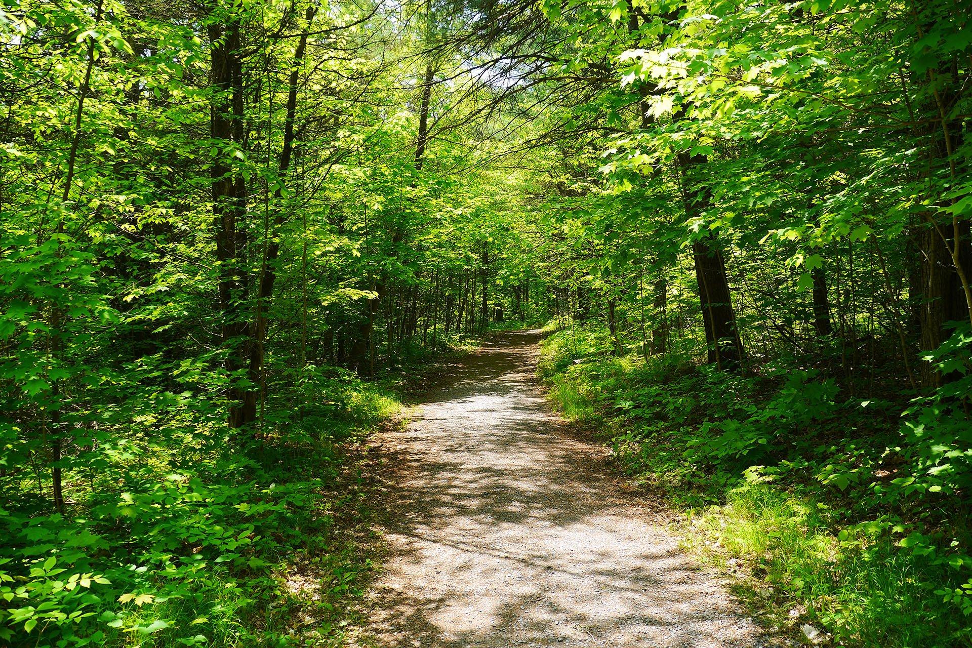 Parrott's Bay Conservation Area