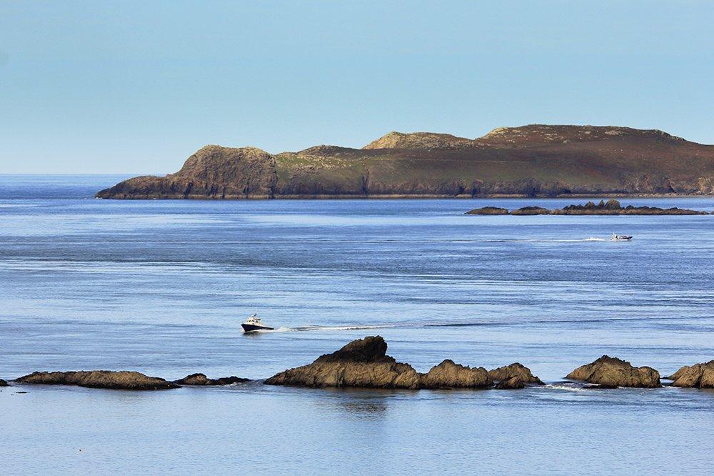 Thousand Islands Expeditions - Ramsey Island Boat Trips