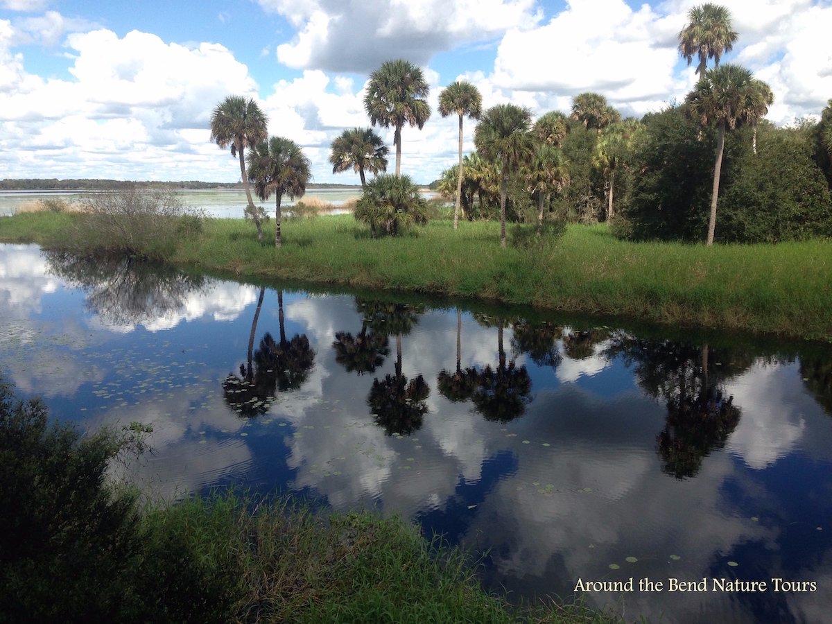 Around the Bend Nature & Discovery Tours