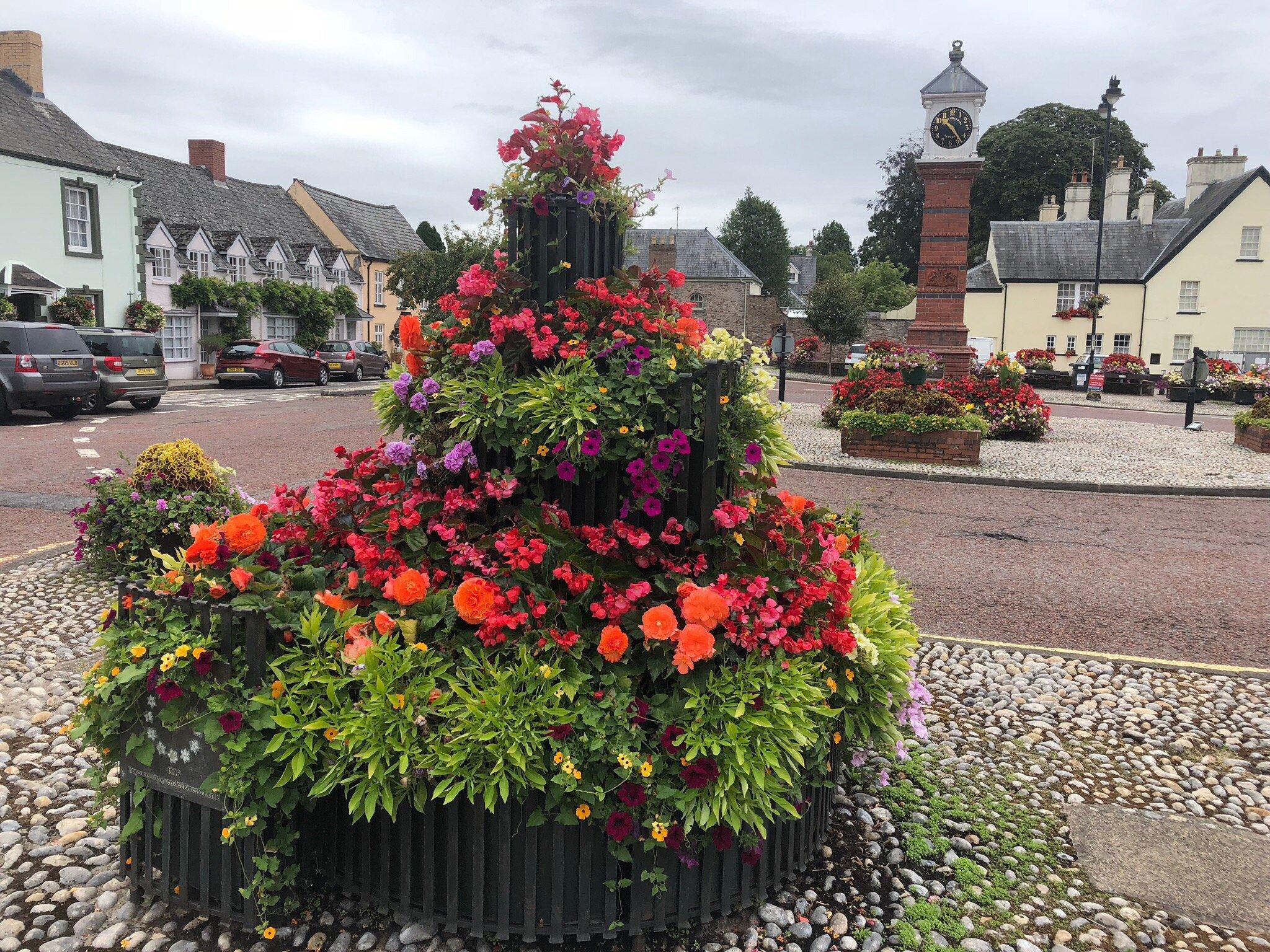 Usk in Bloom
