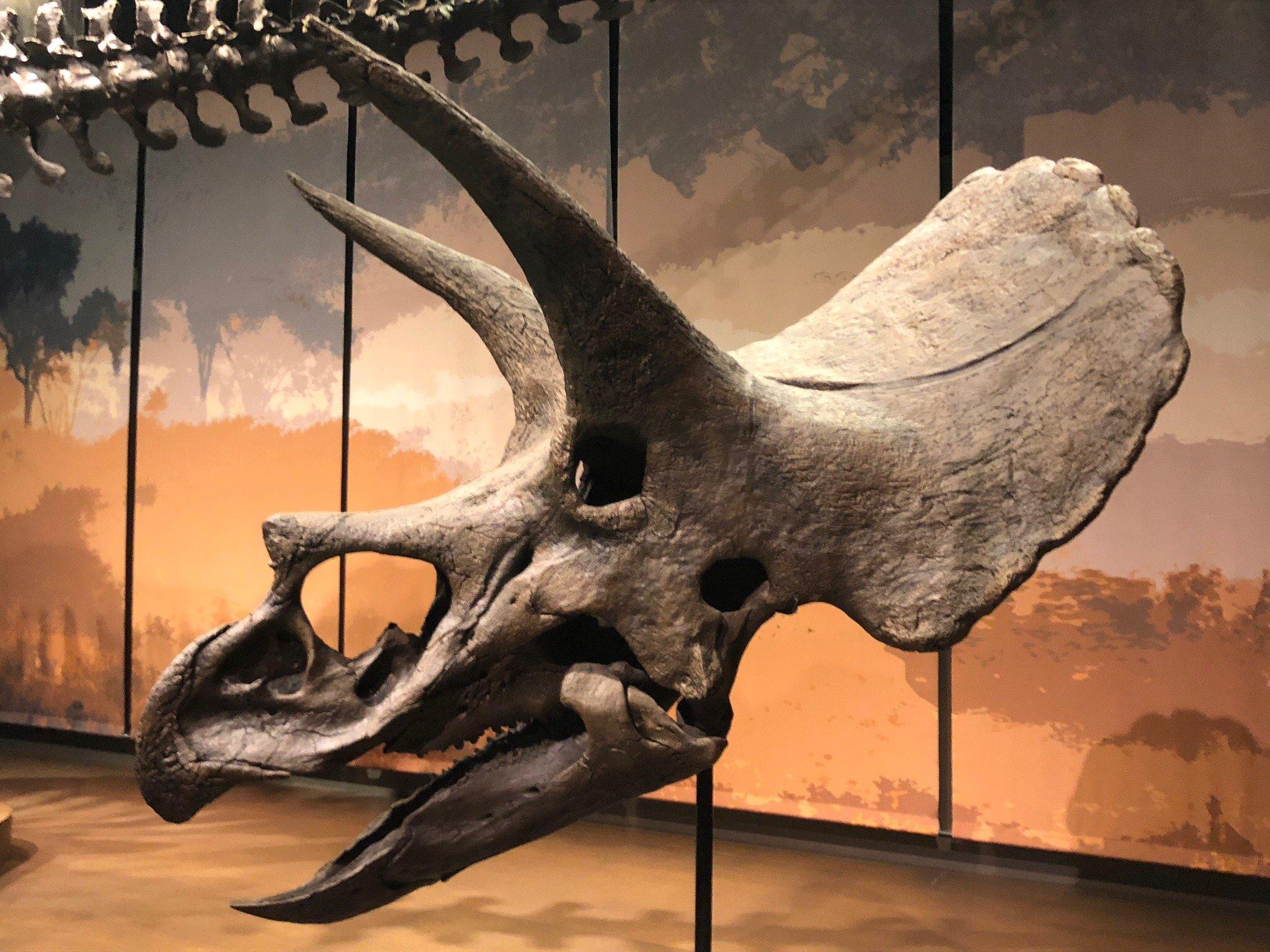 Photo by 244candaceh