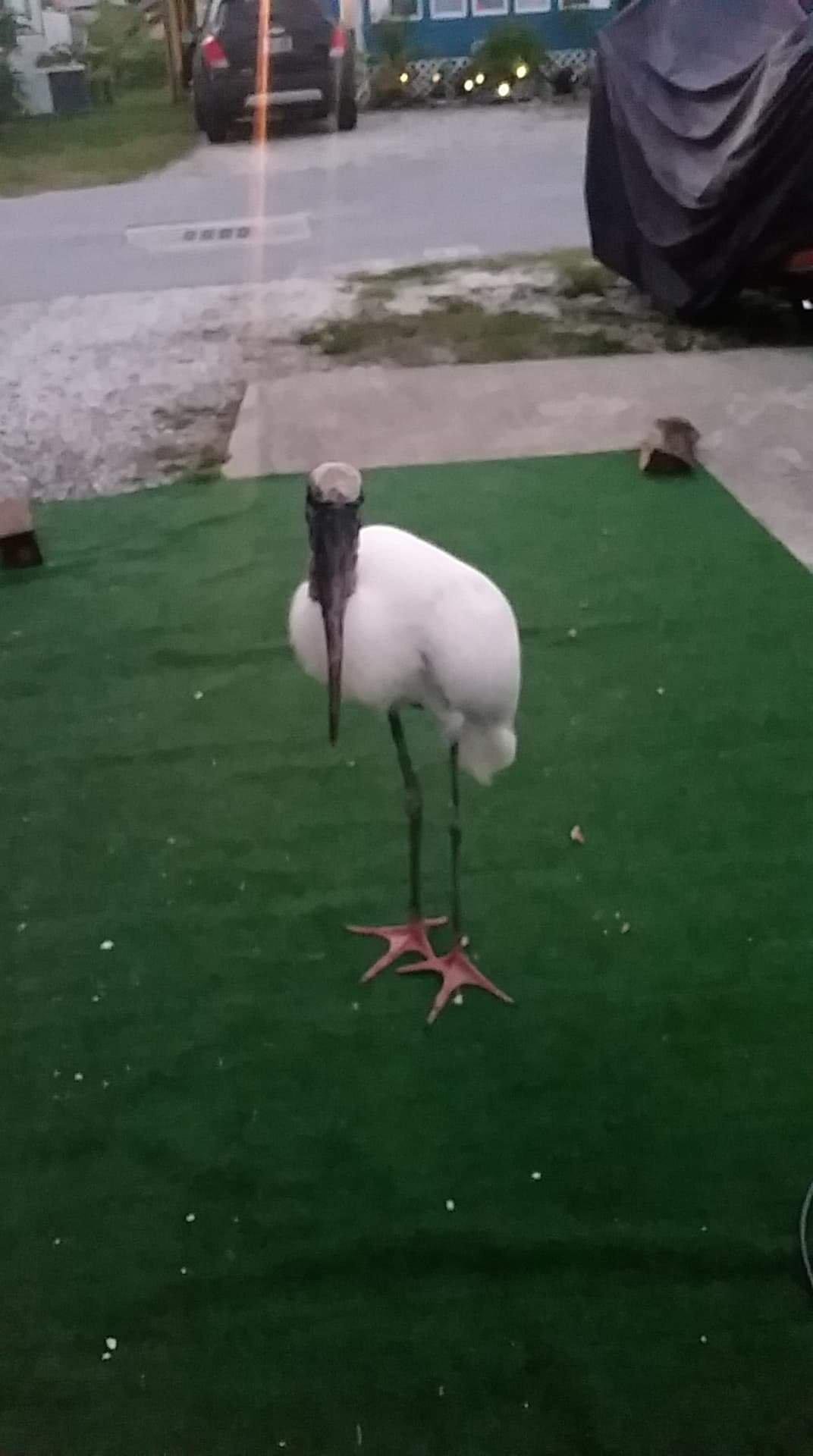 Photo by Theresa1220