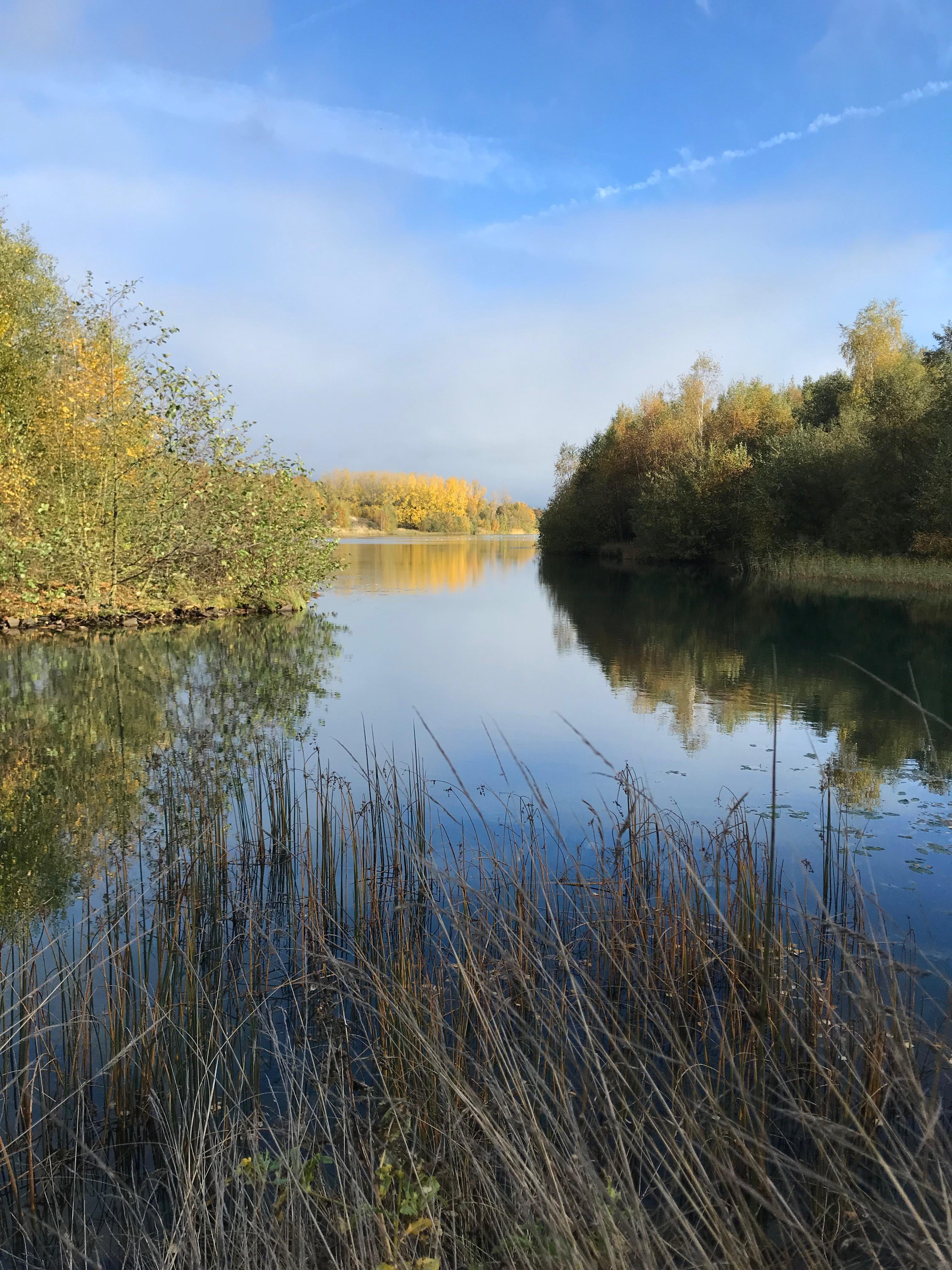 Tread Uk Woodland Hideout