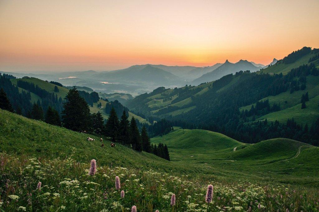 Cheese-Dairy And Nature Trail Through Greyerzerland