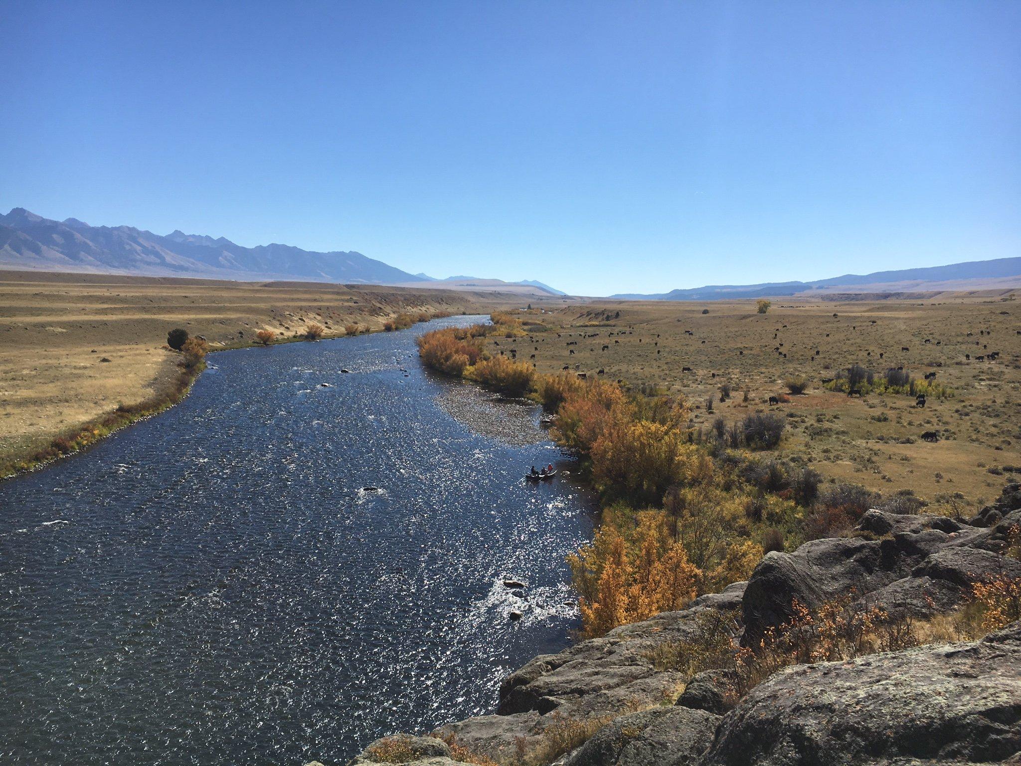 Montana Fish Man Outfitting