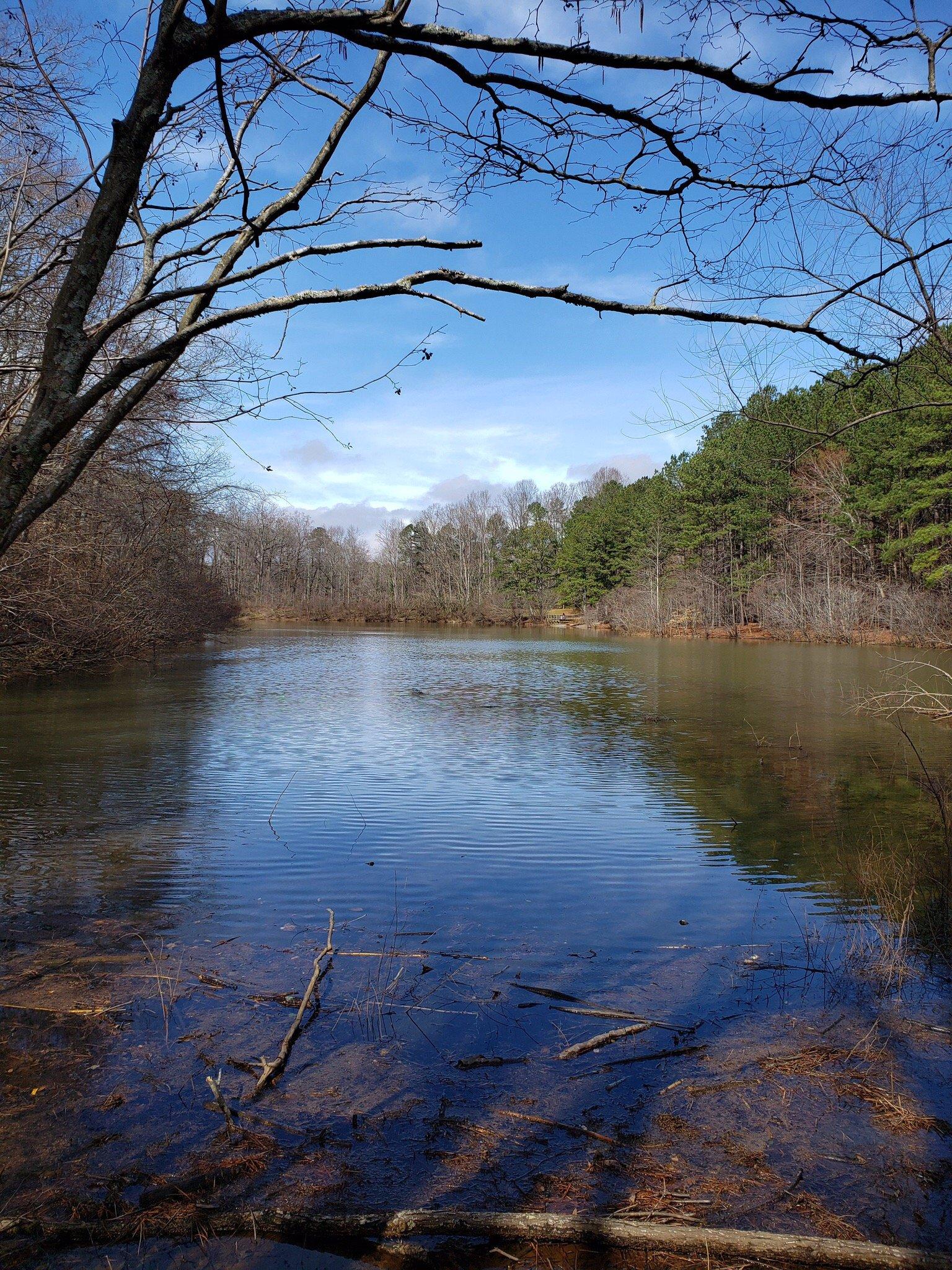 Photo by 632carltonh