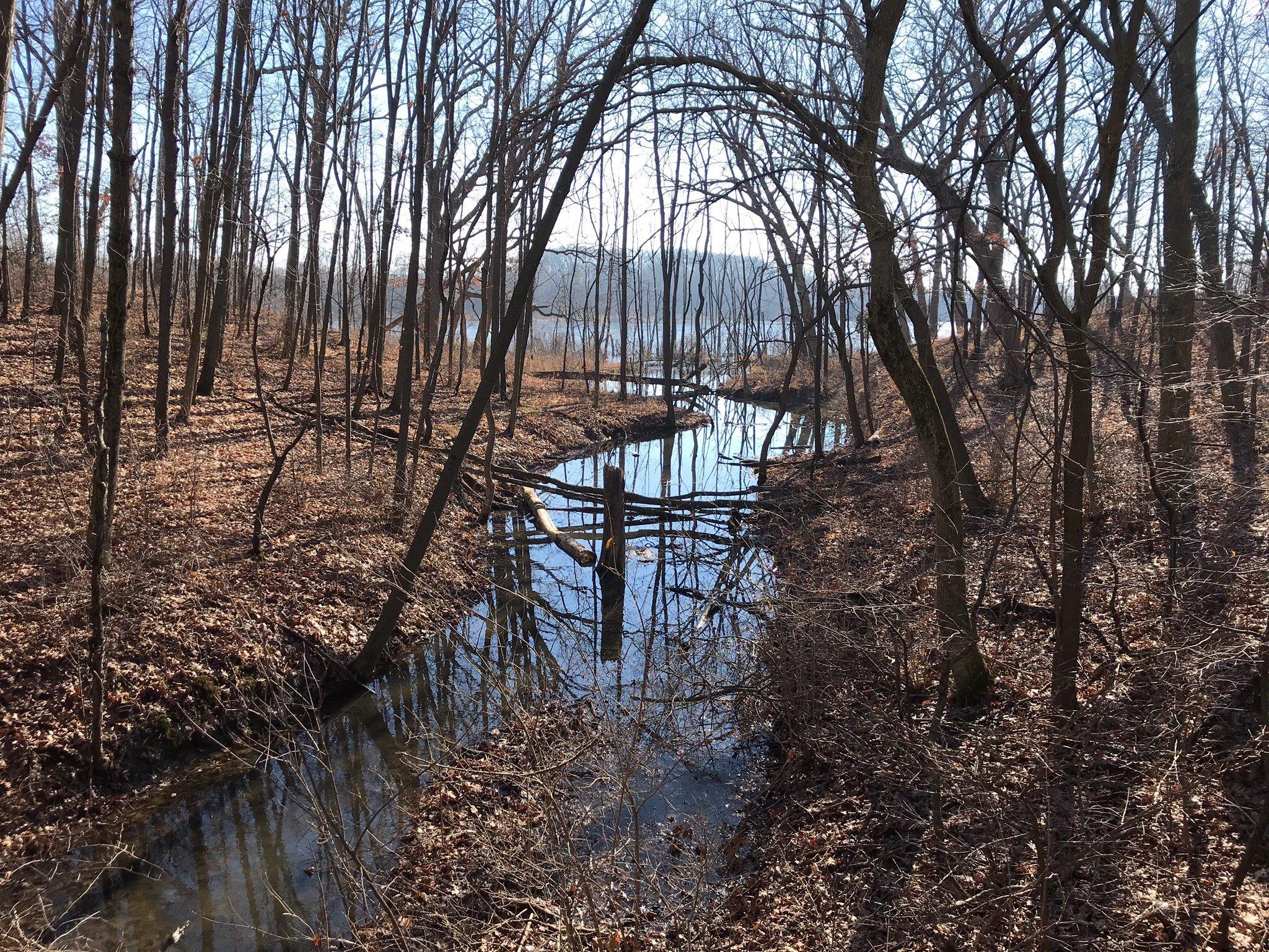 Photo by jackwD9153EX