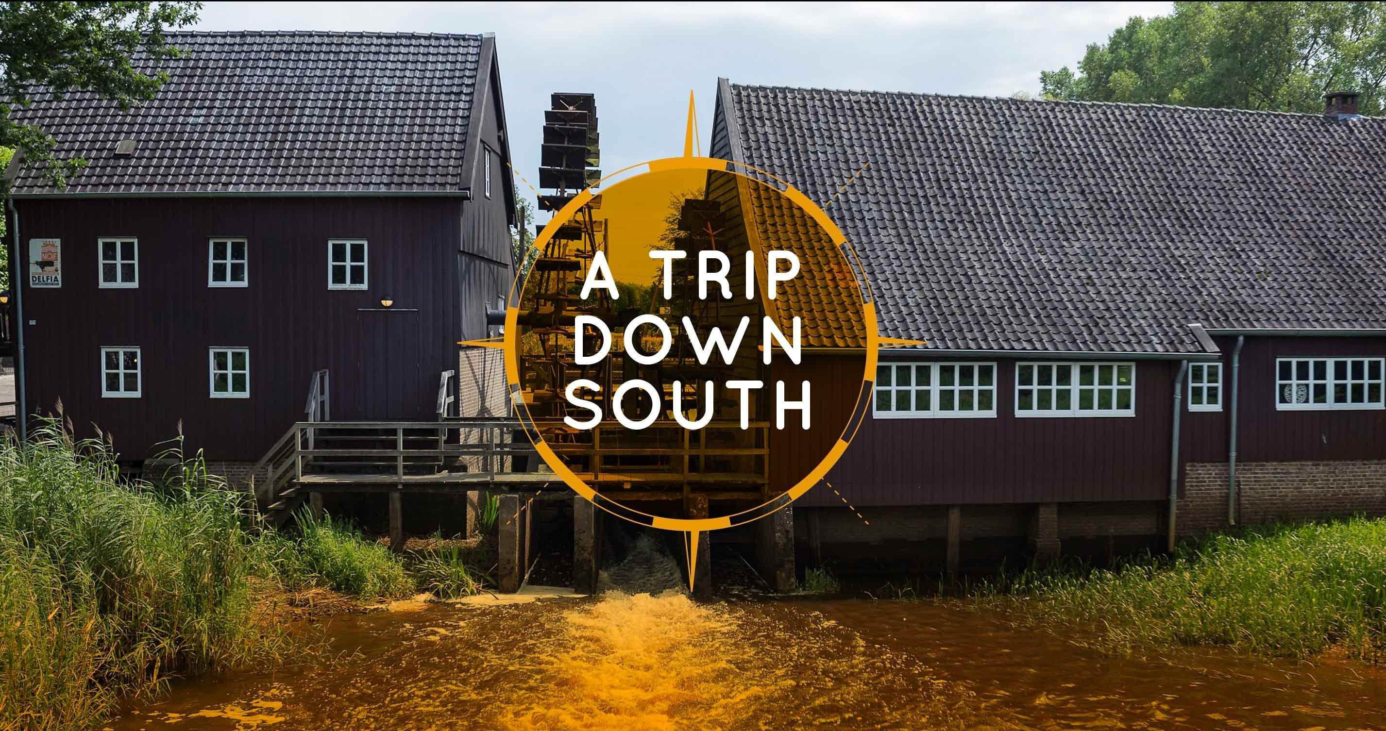 In Depth Experiences