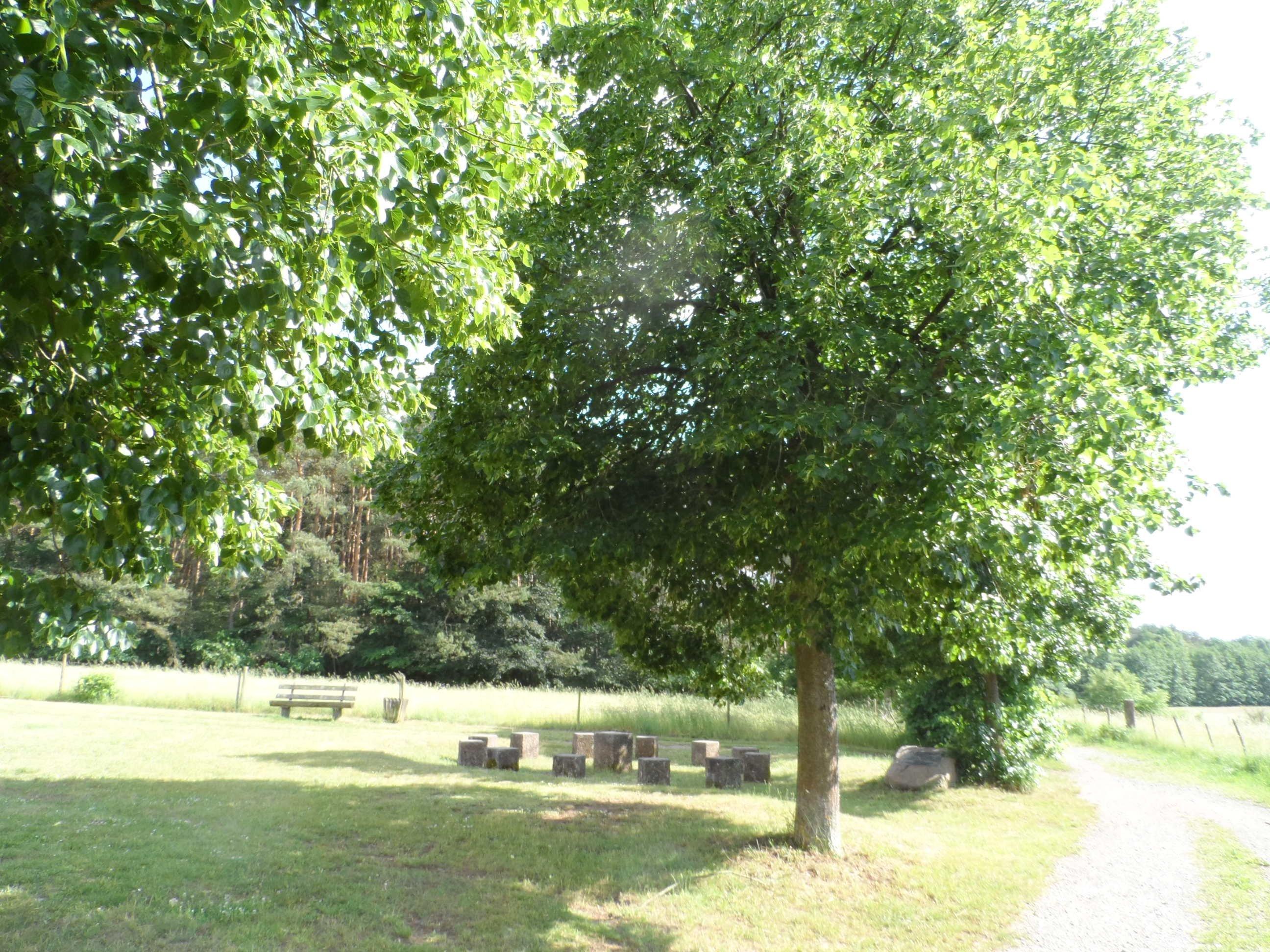 Photo by _P-a-a-u-u-l-l-l-L_