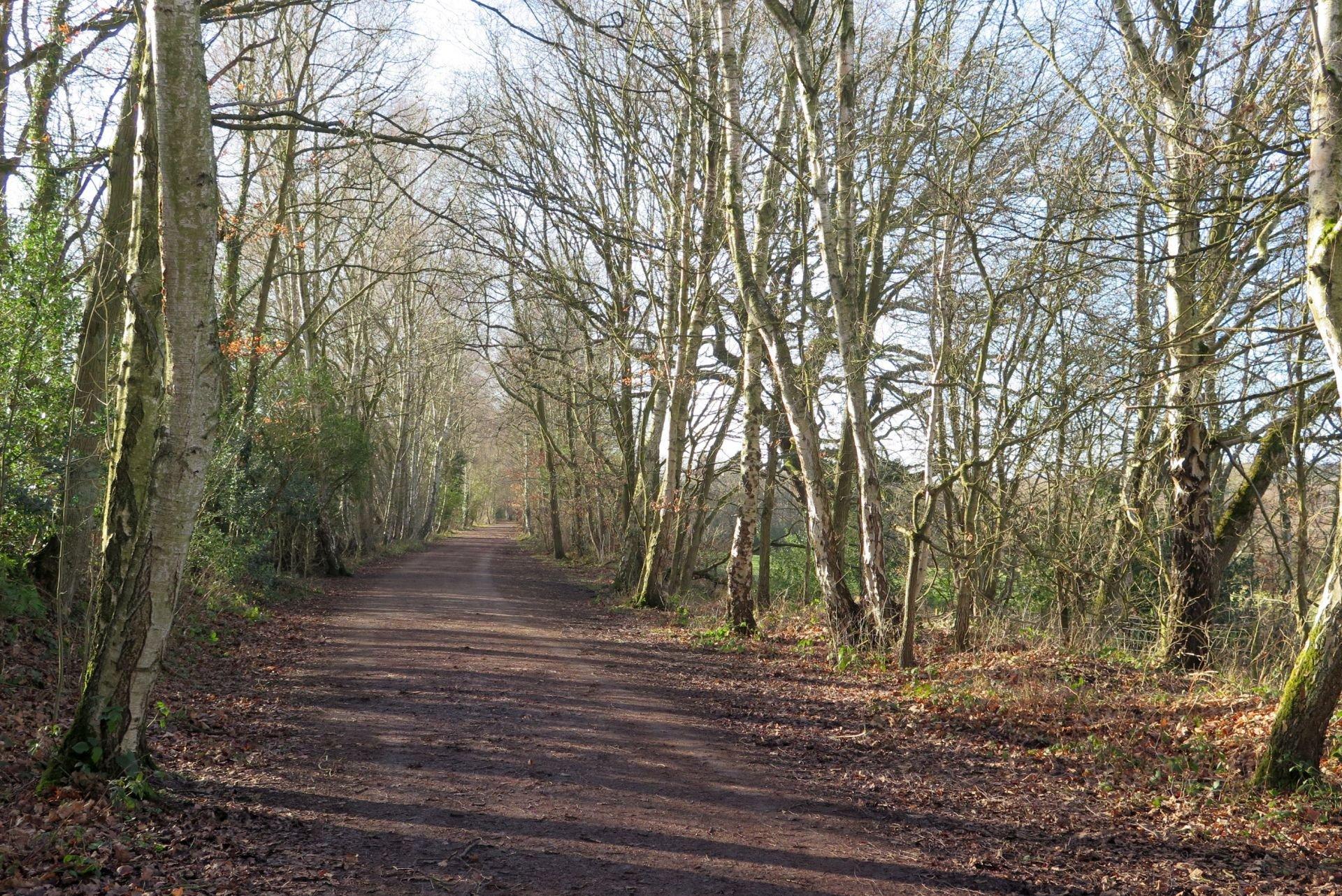 Demesne Mill Picnic Area