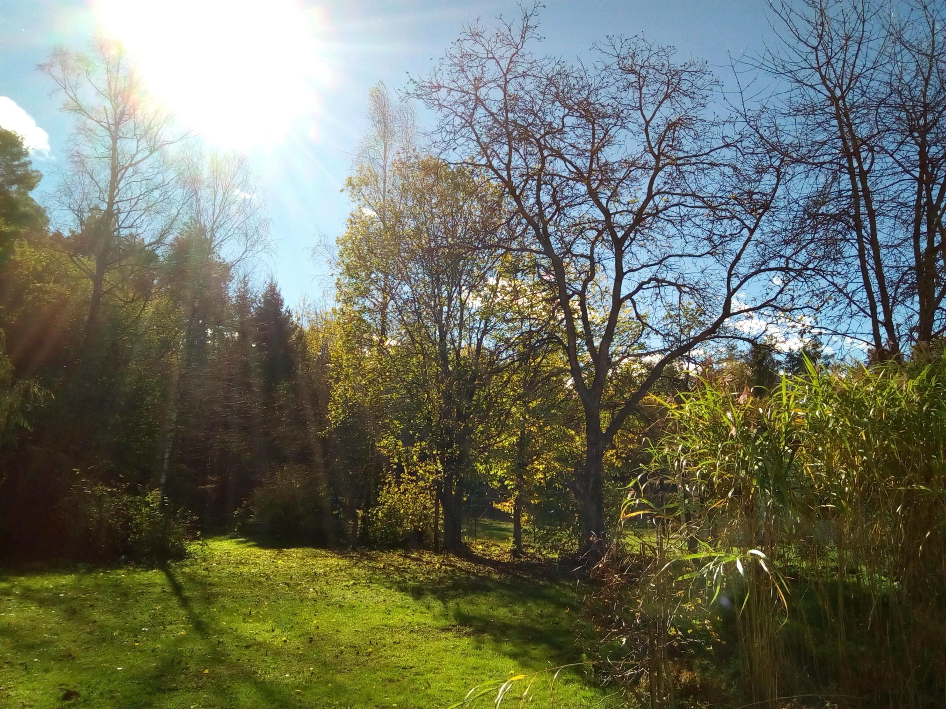 Gastehaus PunktSieben
