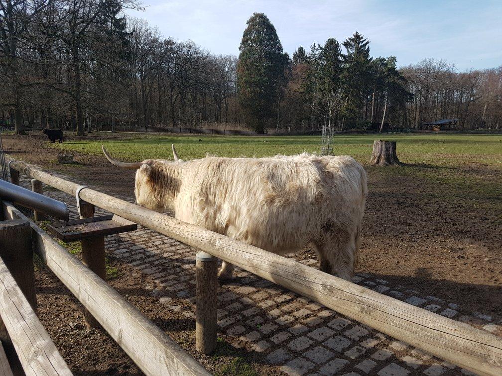 Lindenthaler Tierpark