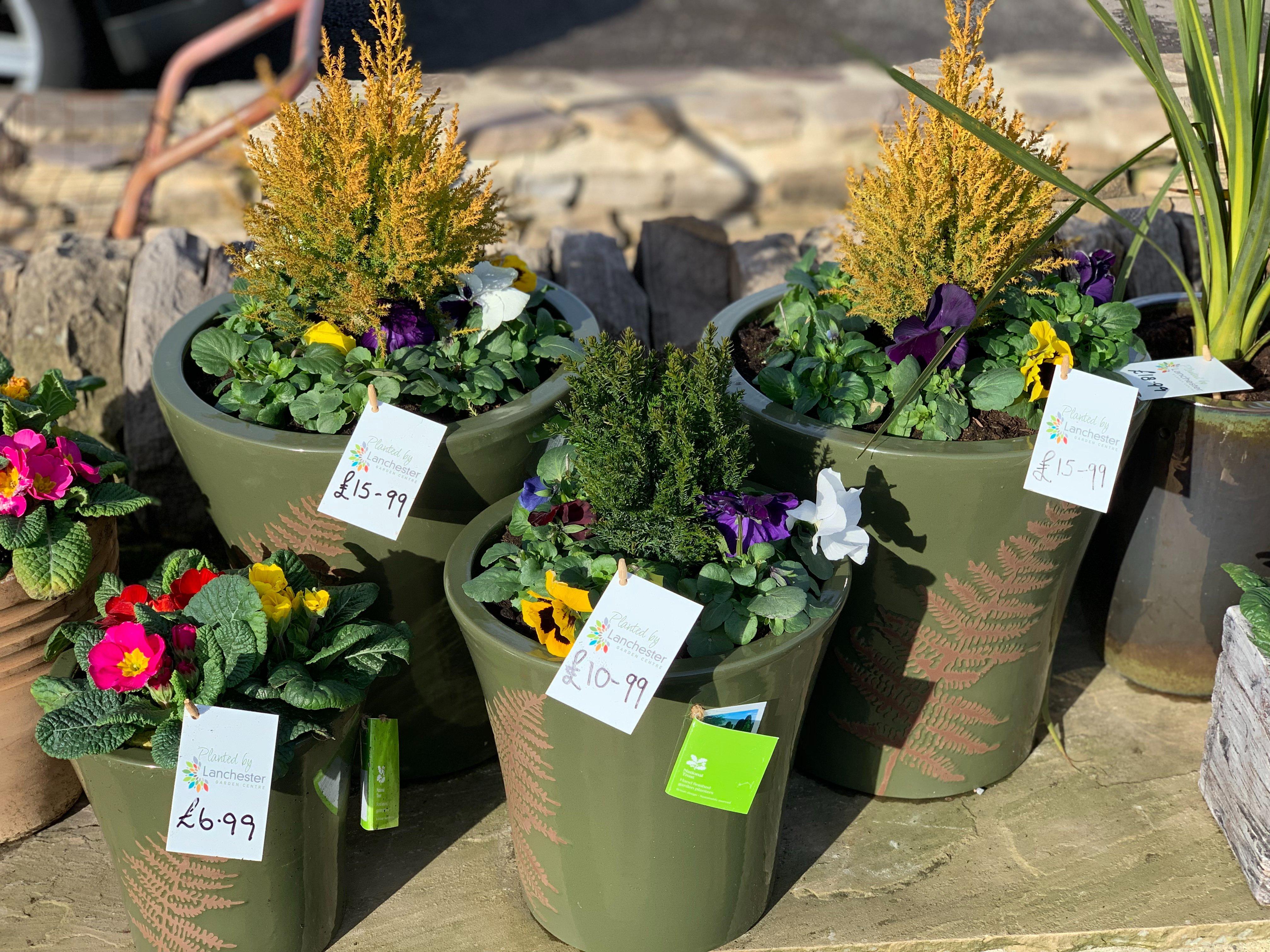 Lanchester Garden Centre