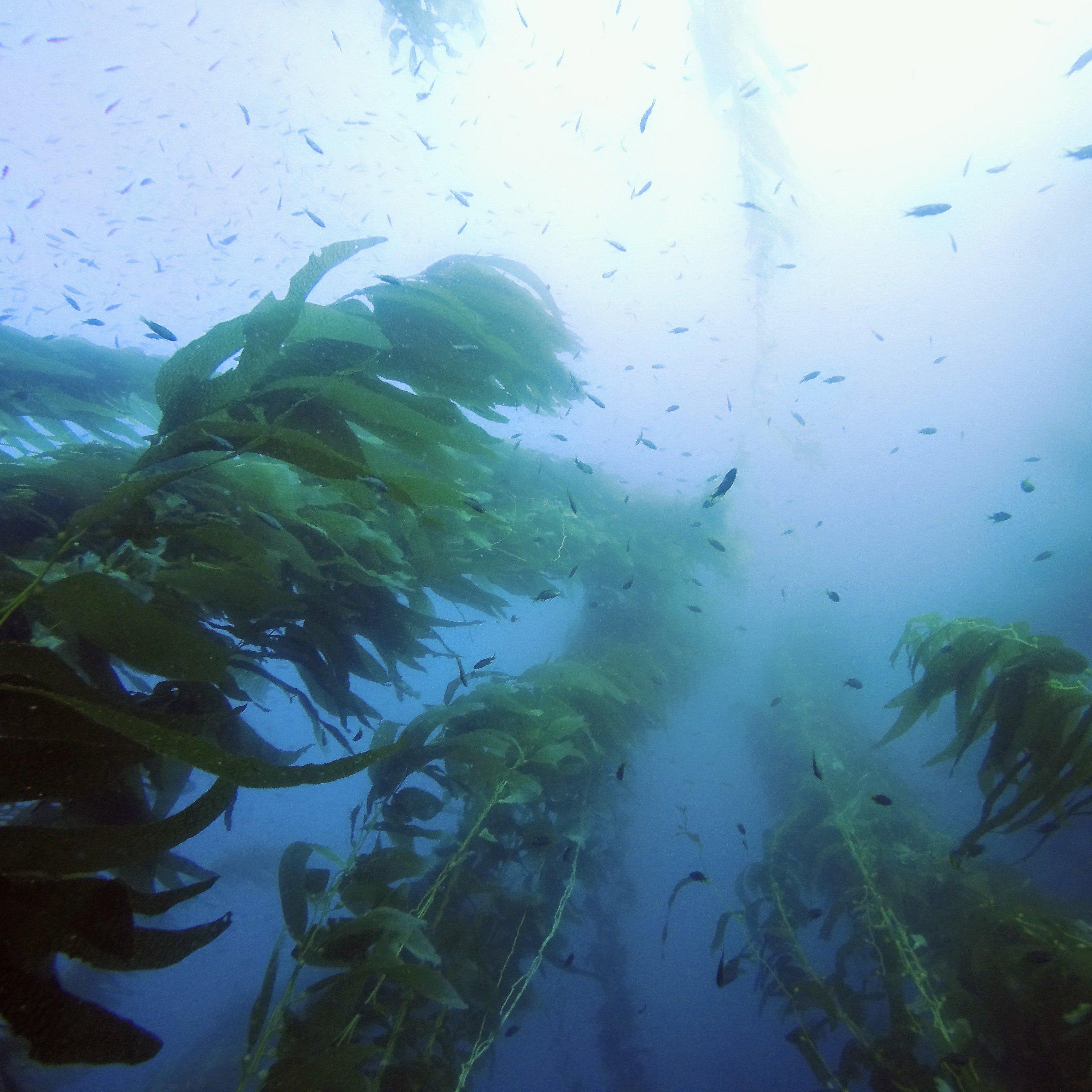 Beyond Land Adventures