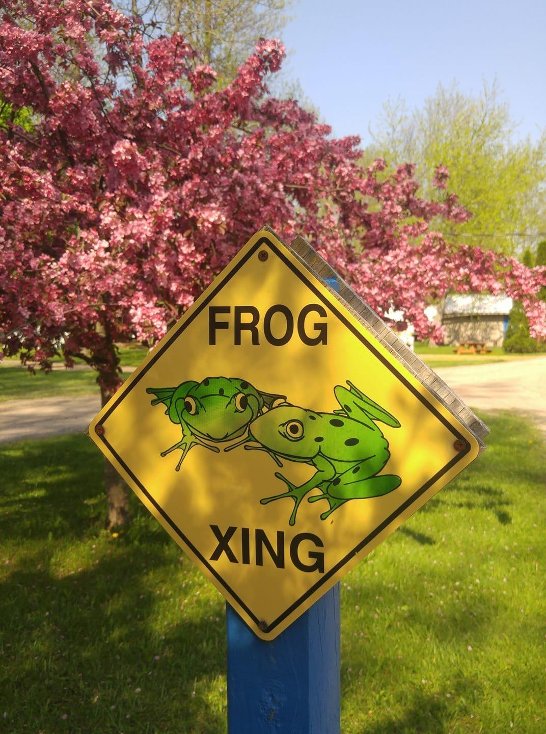 Lake Bluff Campground