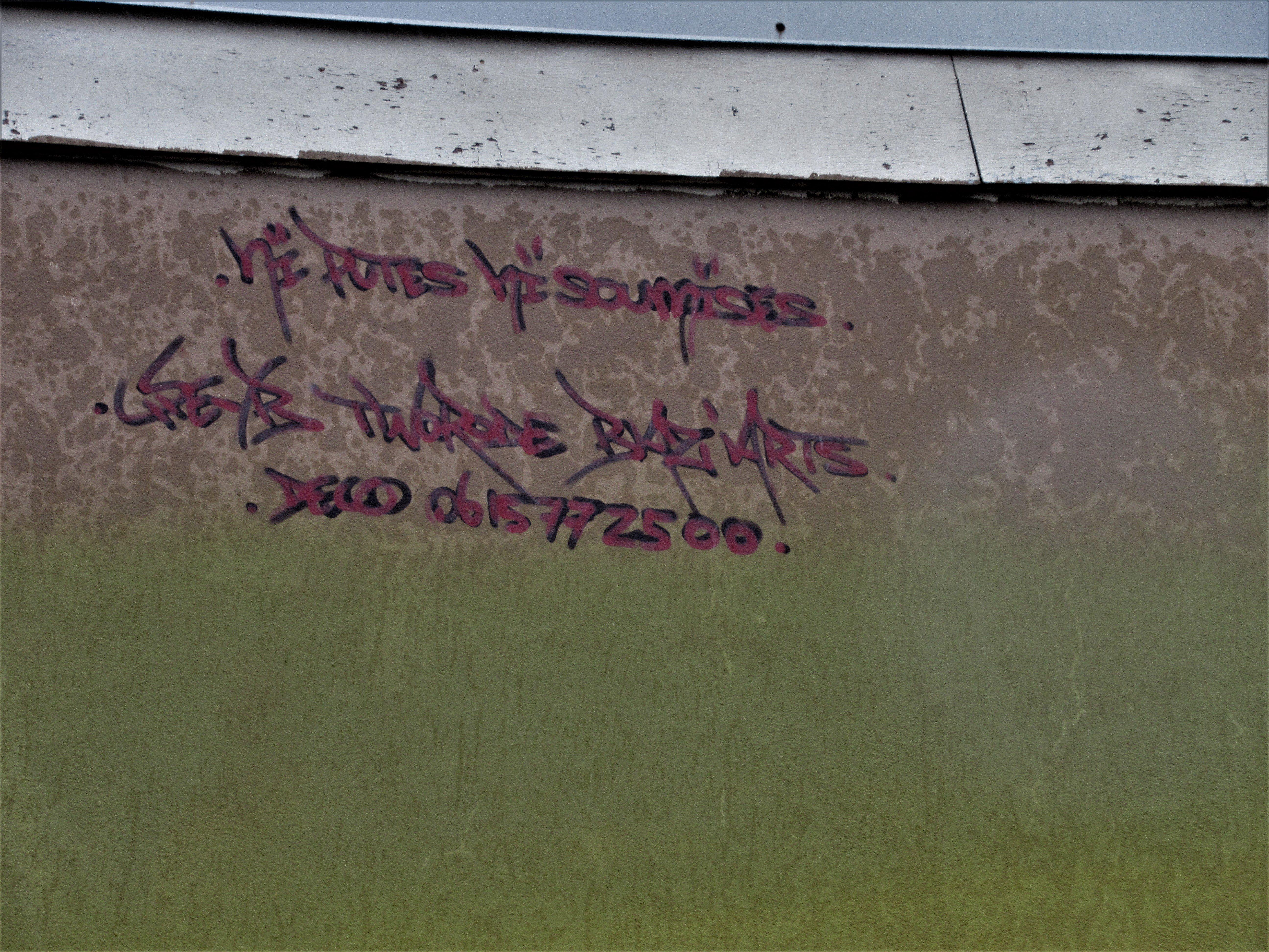 Fresque Ni Putes Ni Soumises